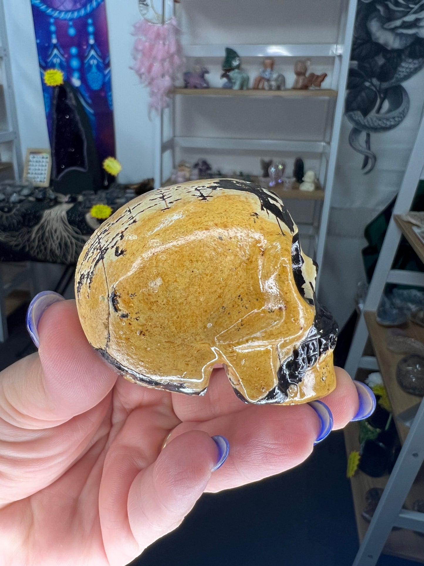 Picture Stone Jasper Skull