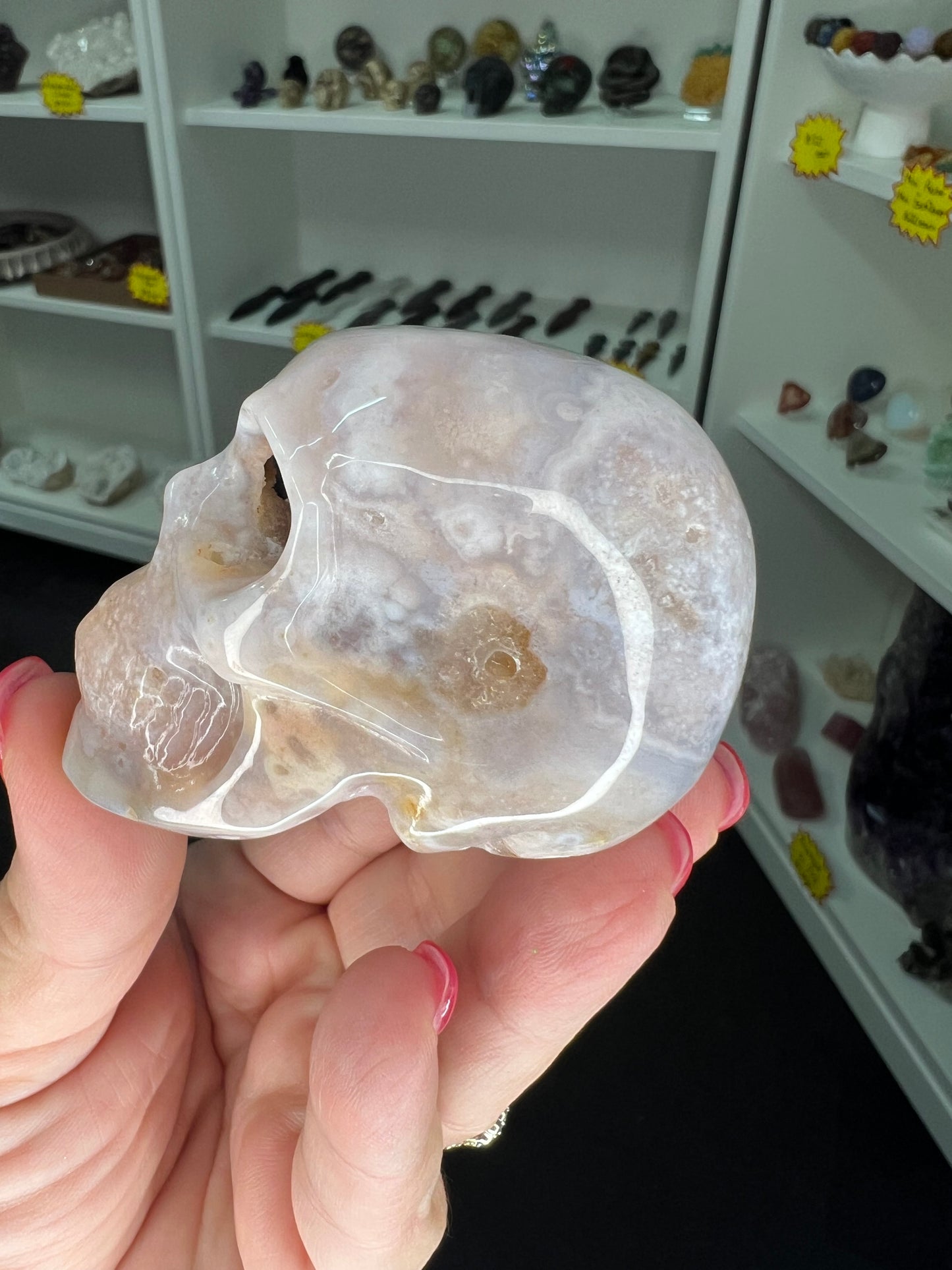 Flower Agate Skull