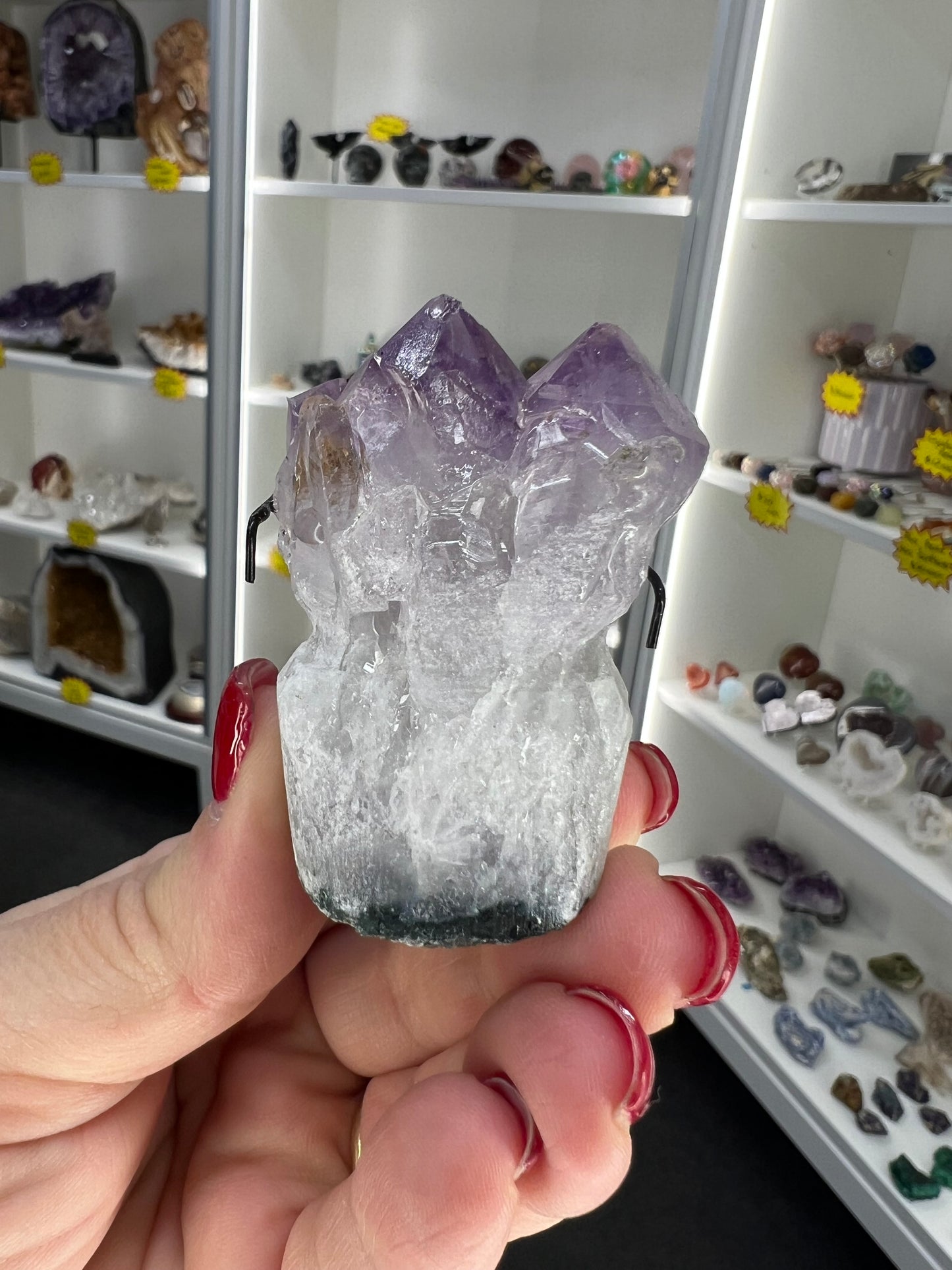 Amethyst Cluster Little Guy