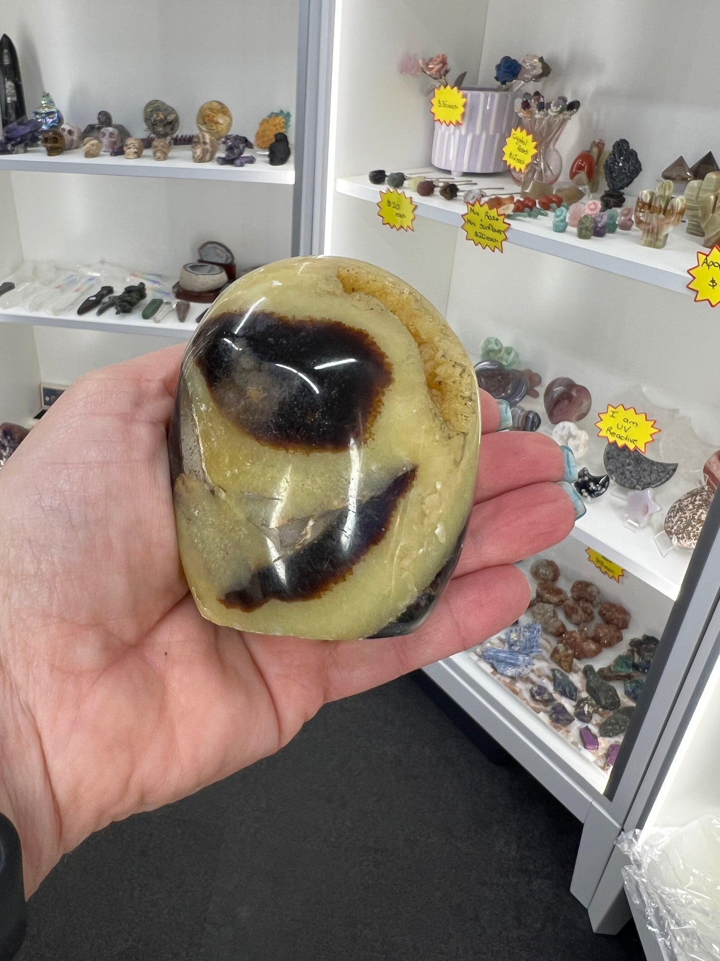 Septarian Freeform