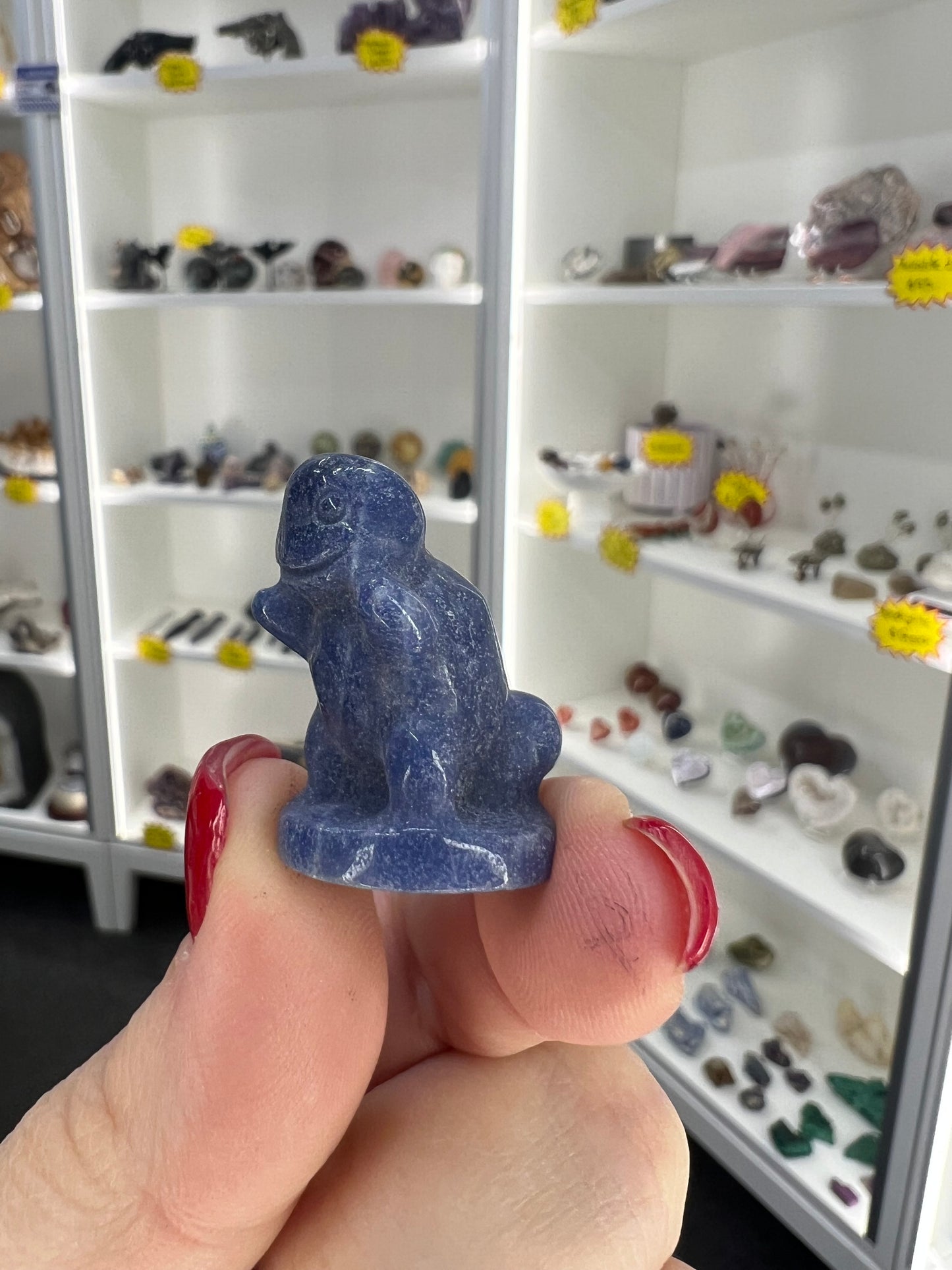 Blue Aventurine Squirtle