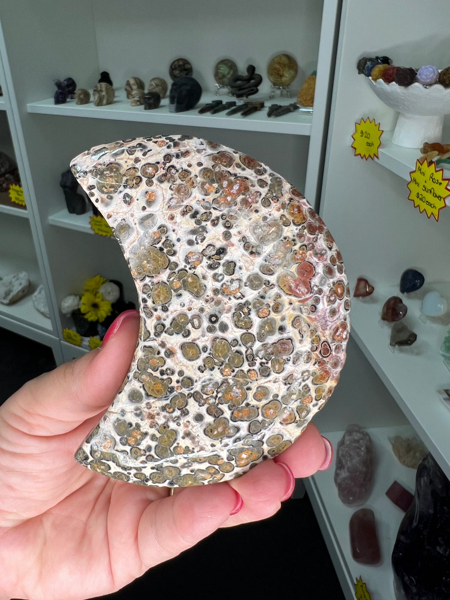 Leopardskin Jasper Moon