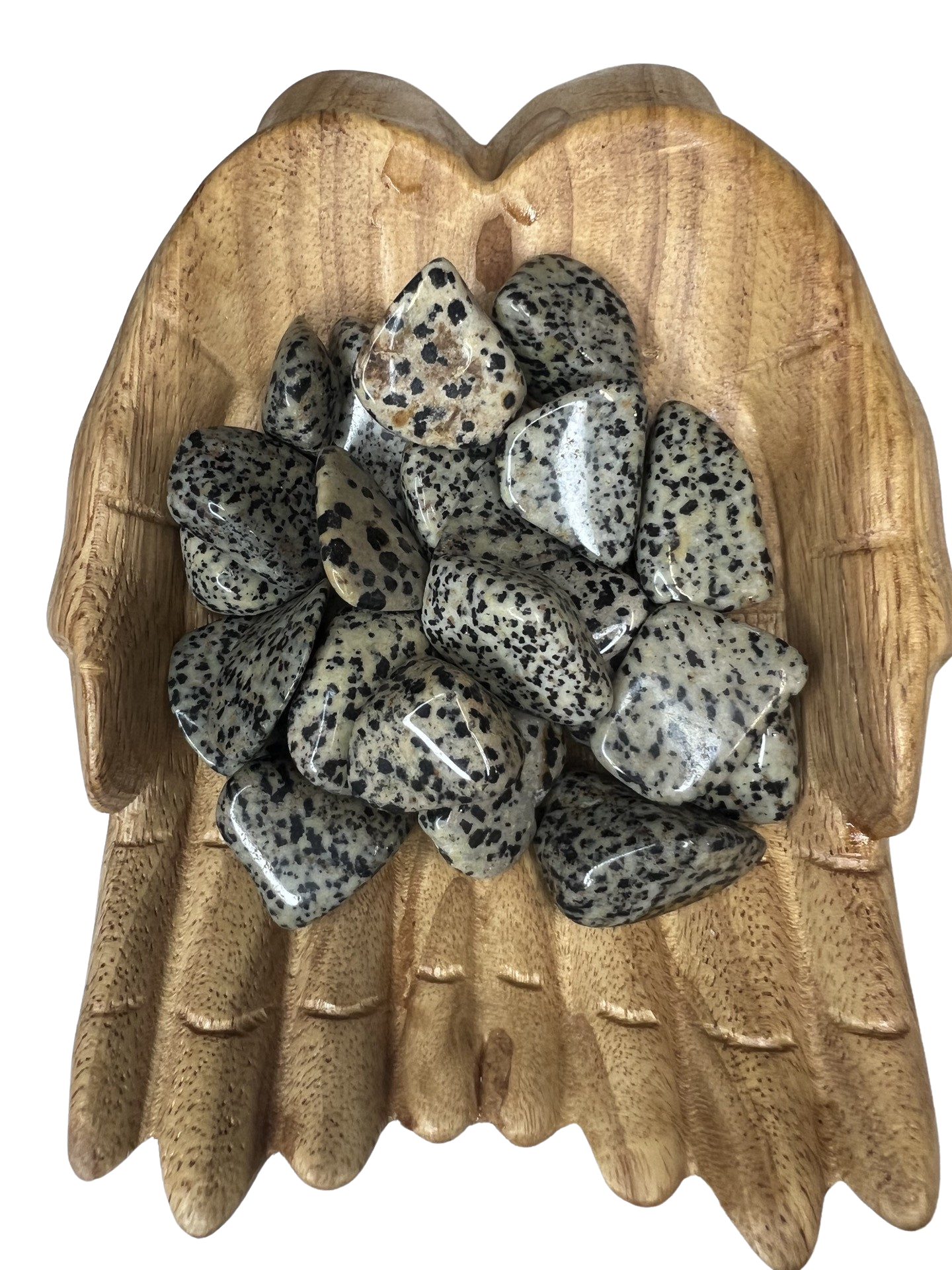 Dalmatian Jasper Tumble