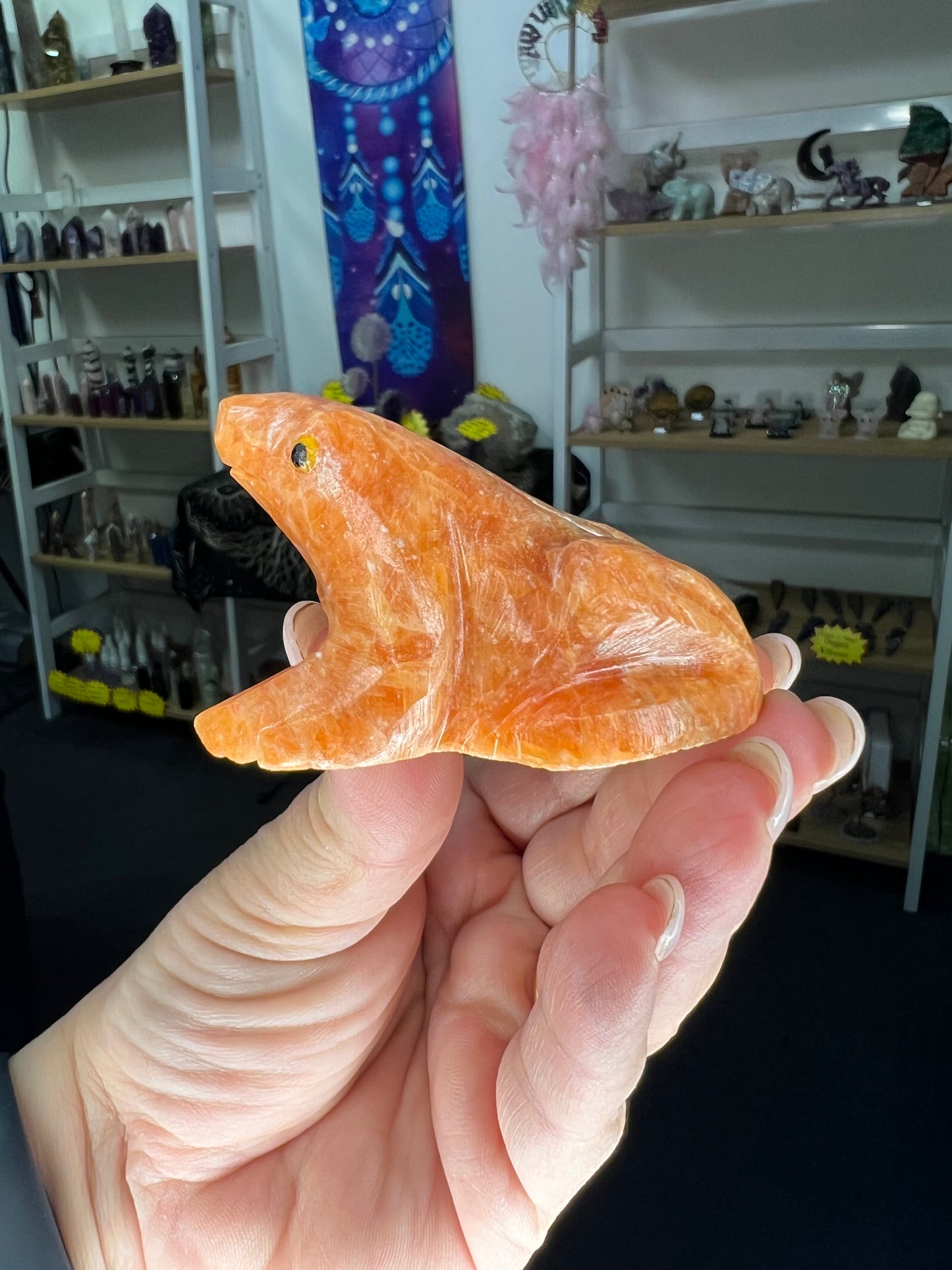 Sunstone Frog