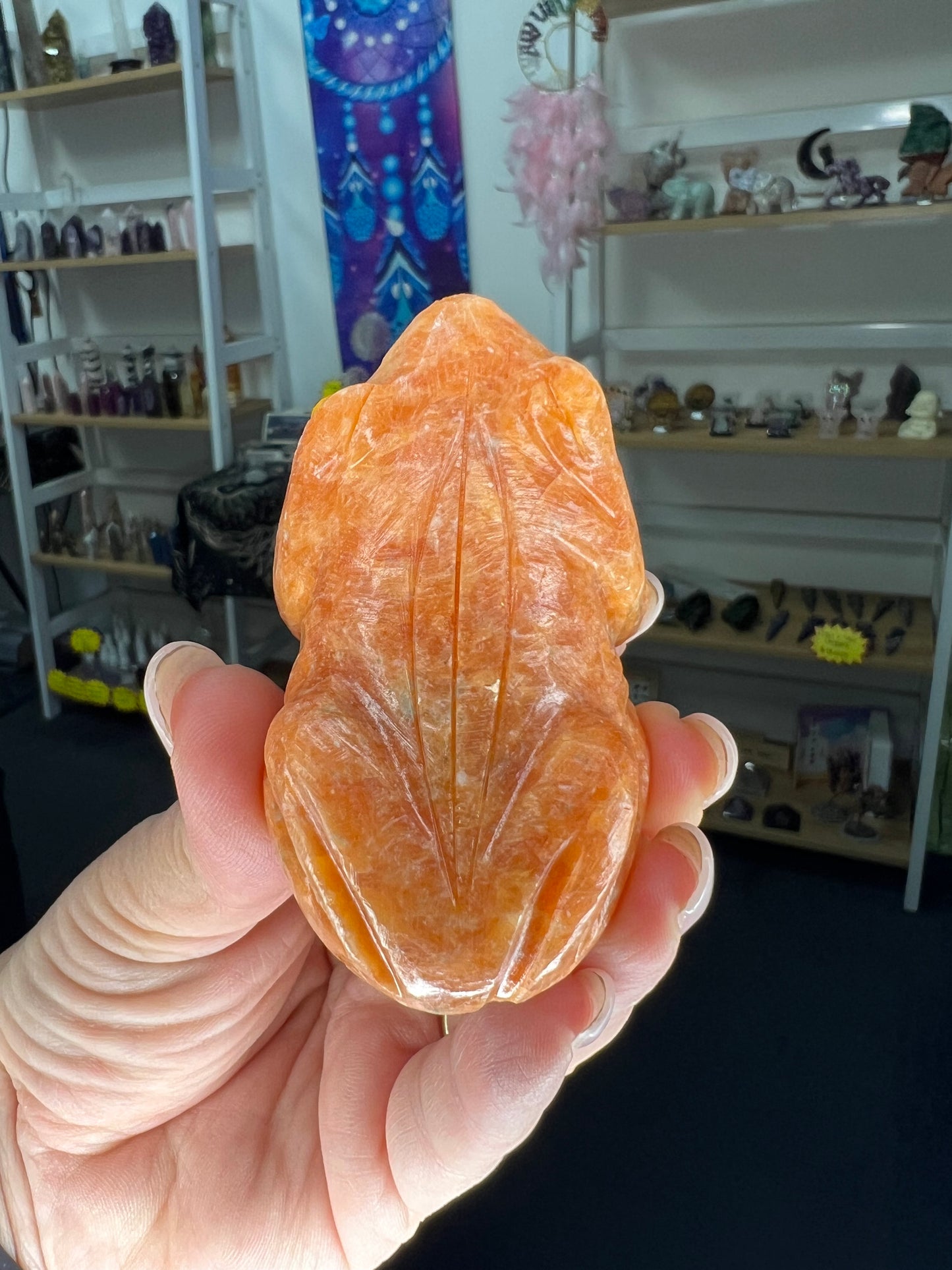 Sunstone Frog