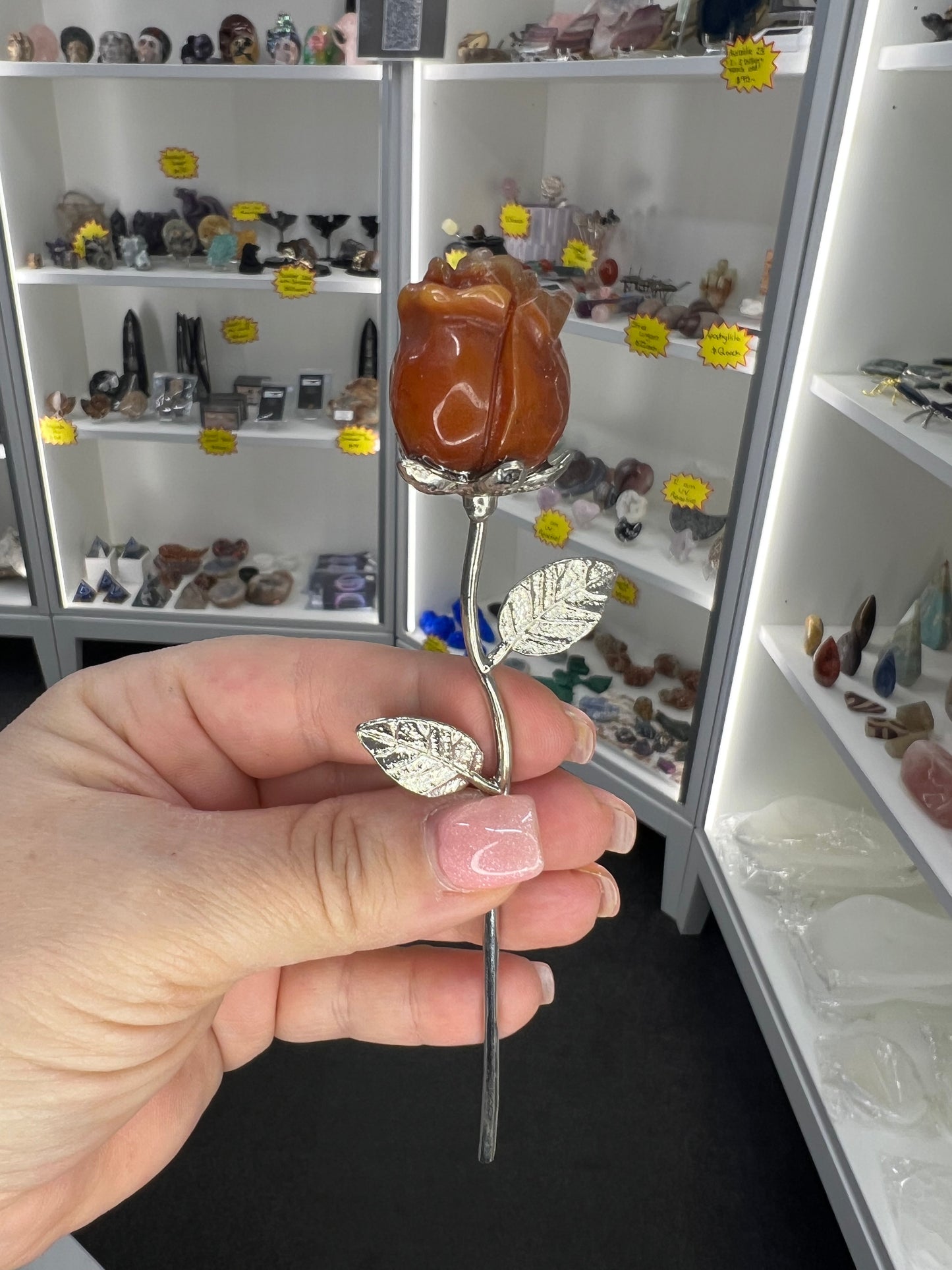 Carnelian Forever Rose