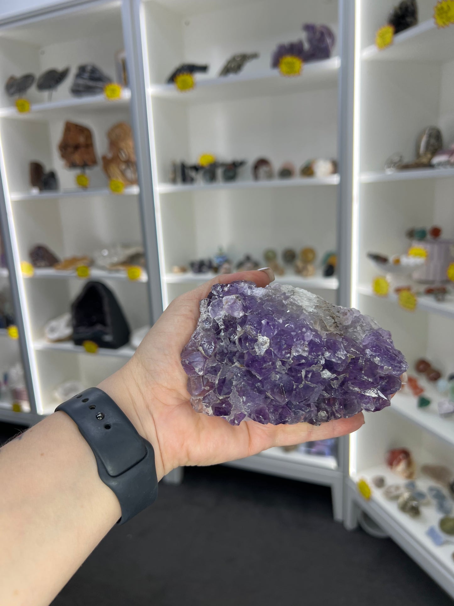 Amethyst Cluster