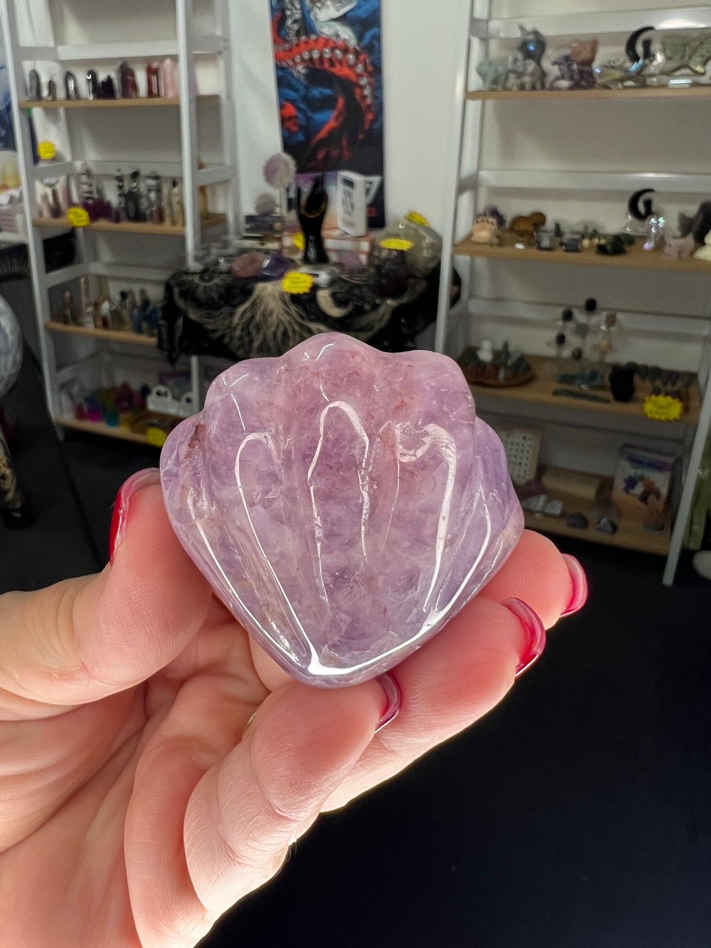 Amethyst x Mexican Lace Agate Shell
