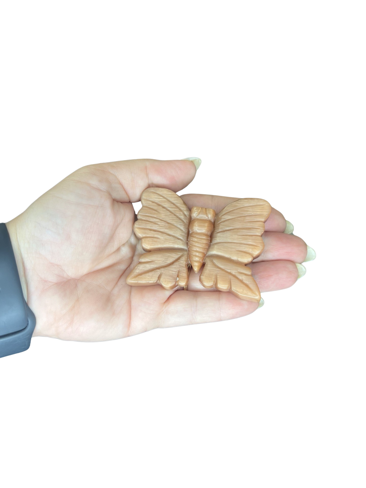 Cat’s Eye Butterfly Carving
