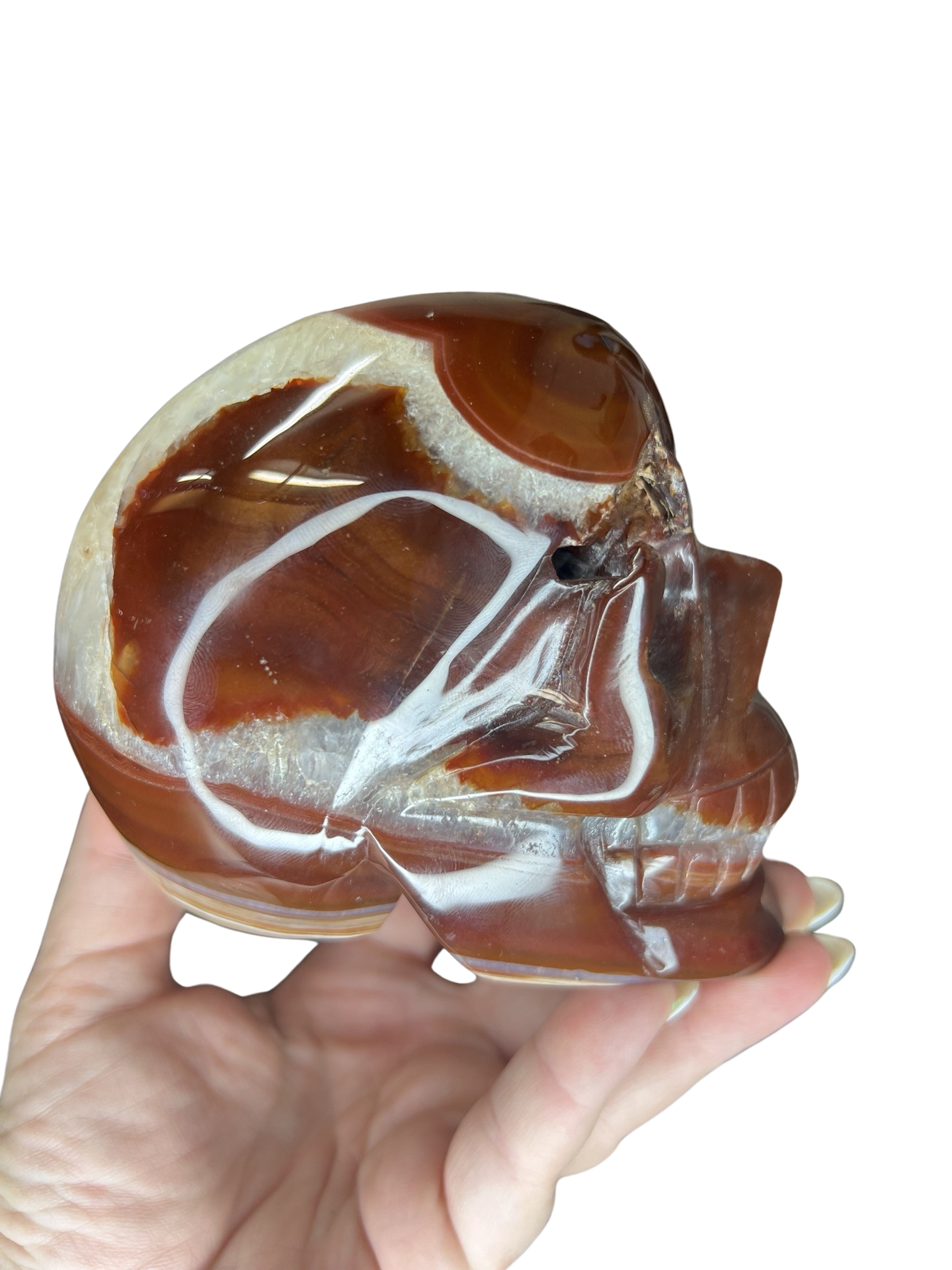 Carnelian Skull Carving