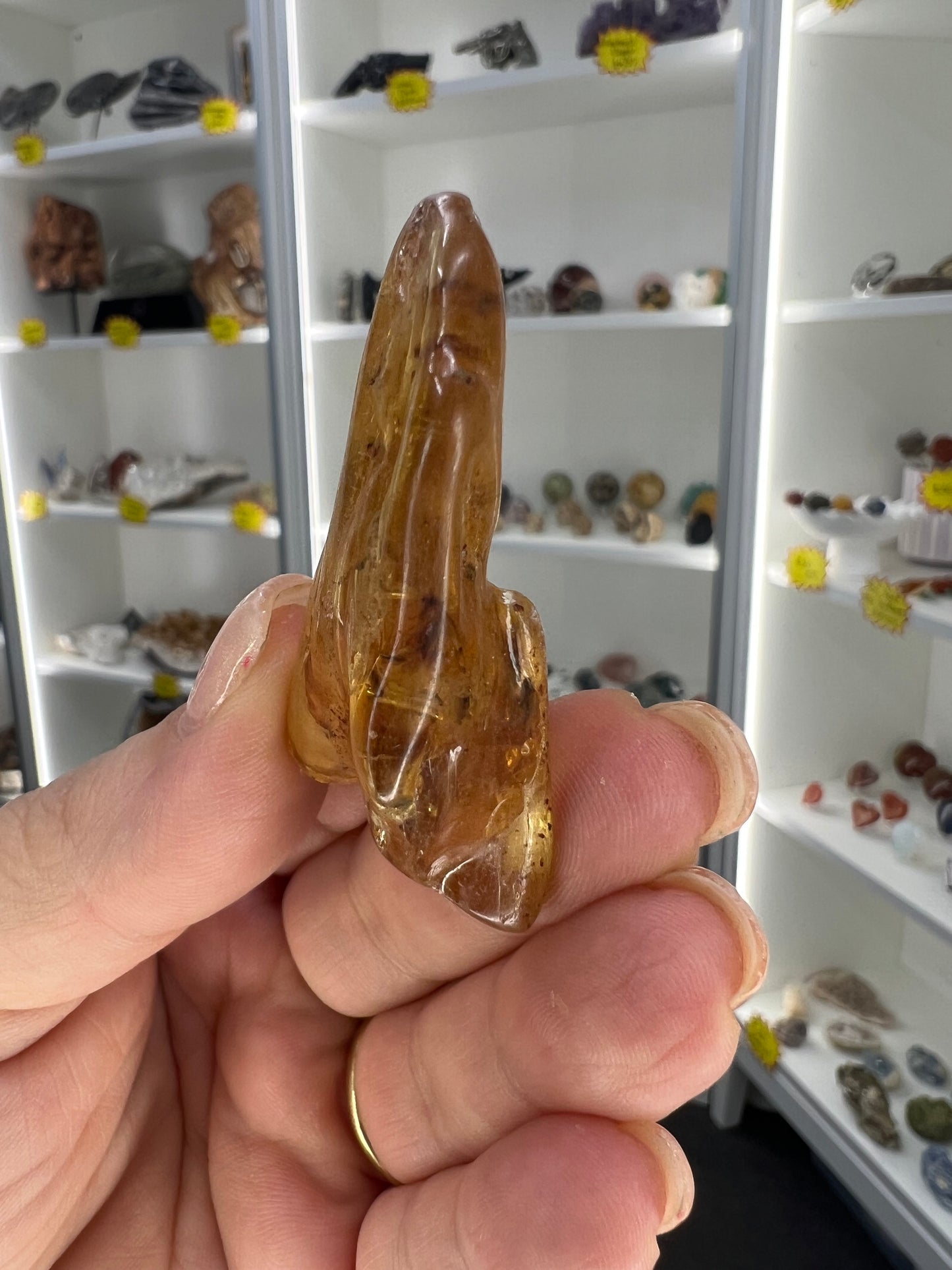 Amber Pack