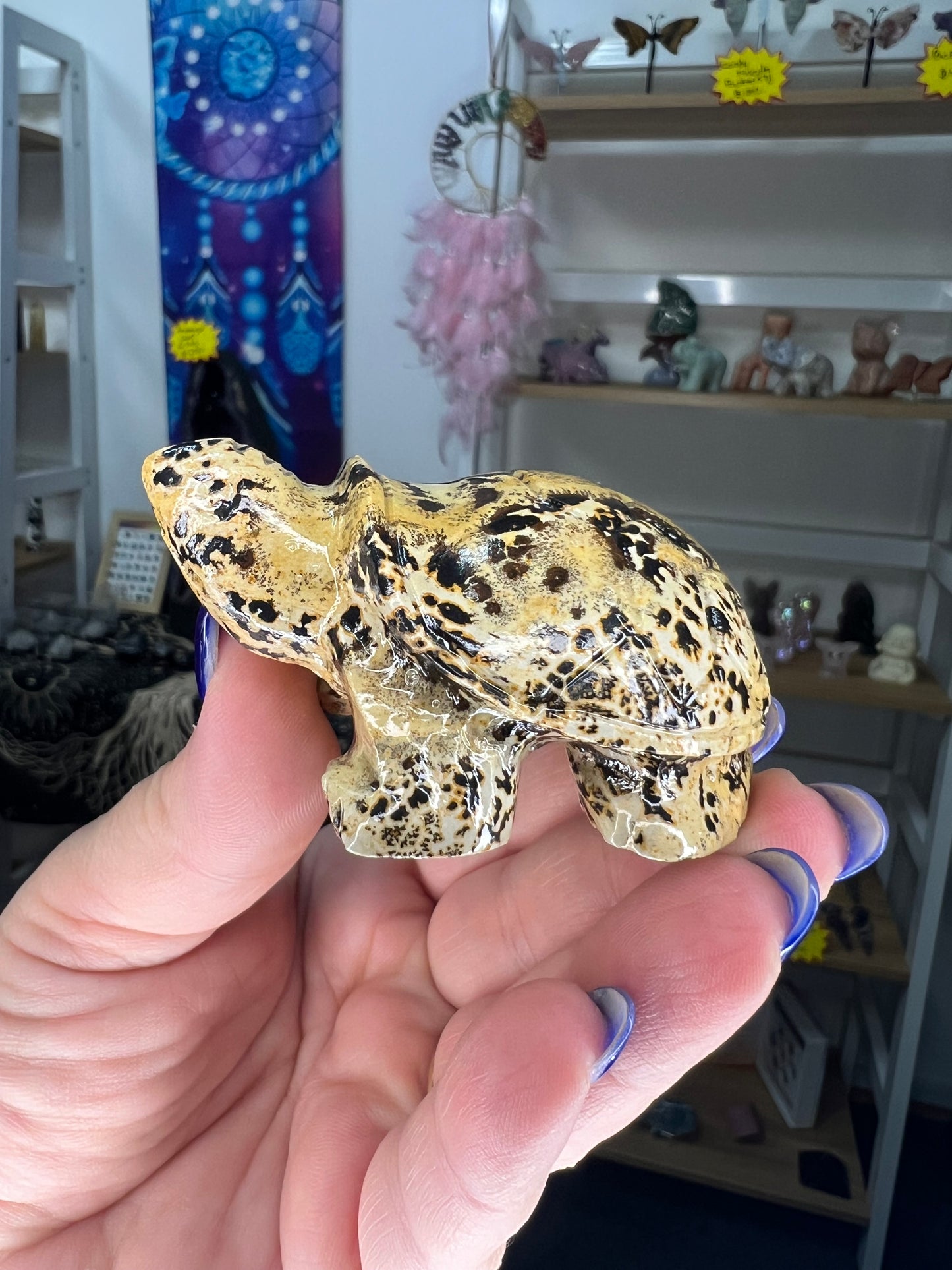 Picture Stone Jasper Turtle