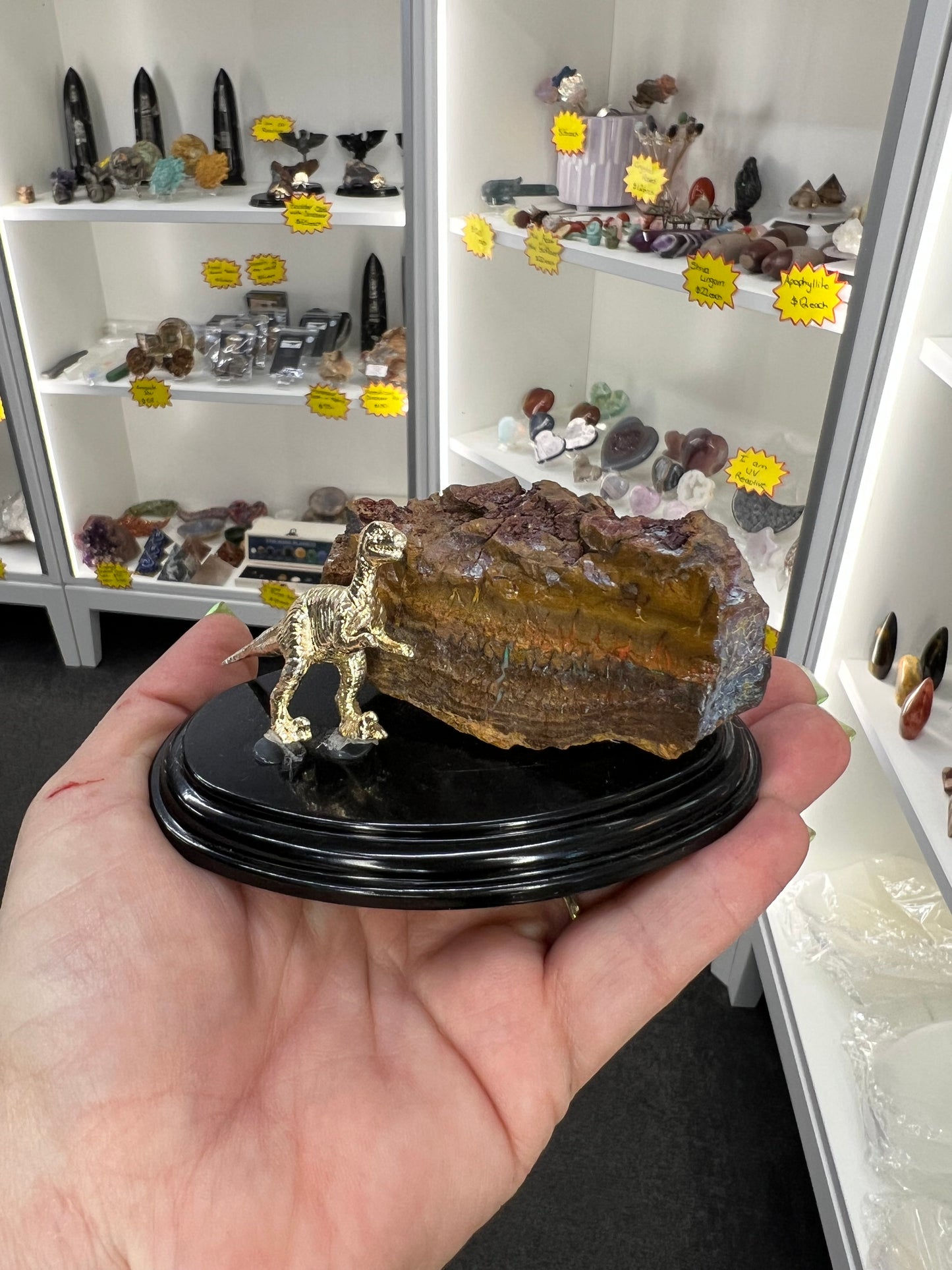 Boulder Opal with Dinosaur