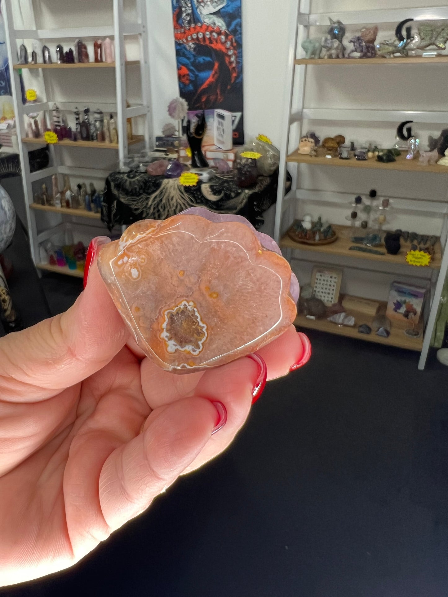 Amethyst x Mexican Lace Agate Shell