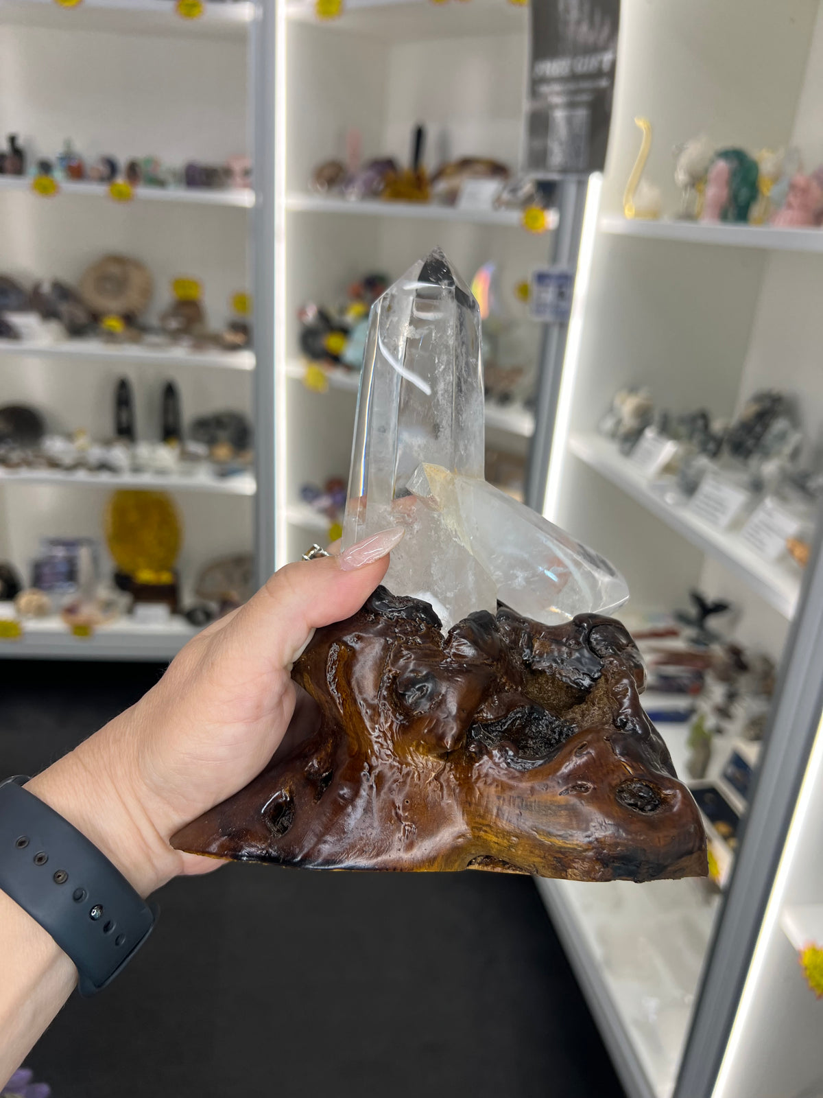 Clear Quartz Cluster Points on Wooden Stand