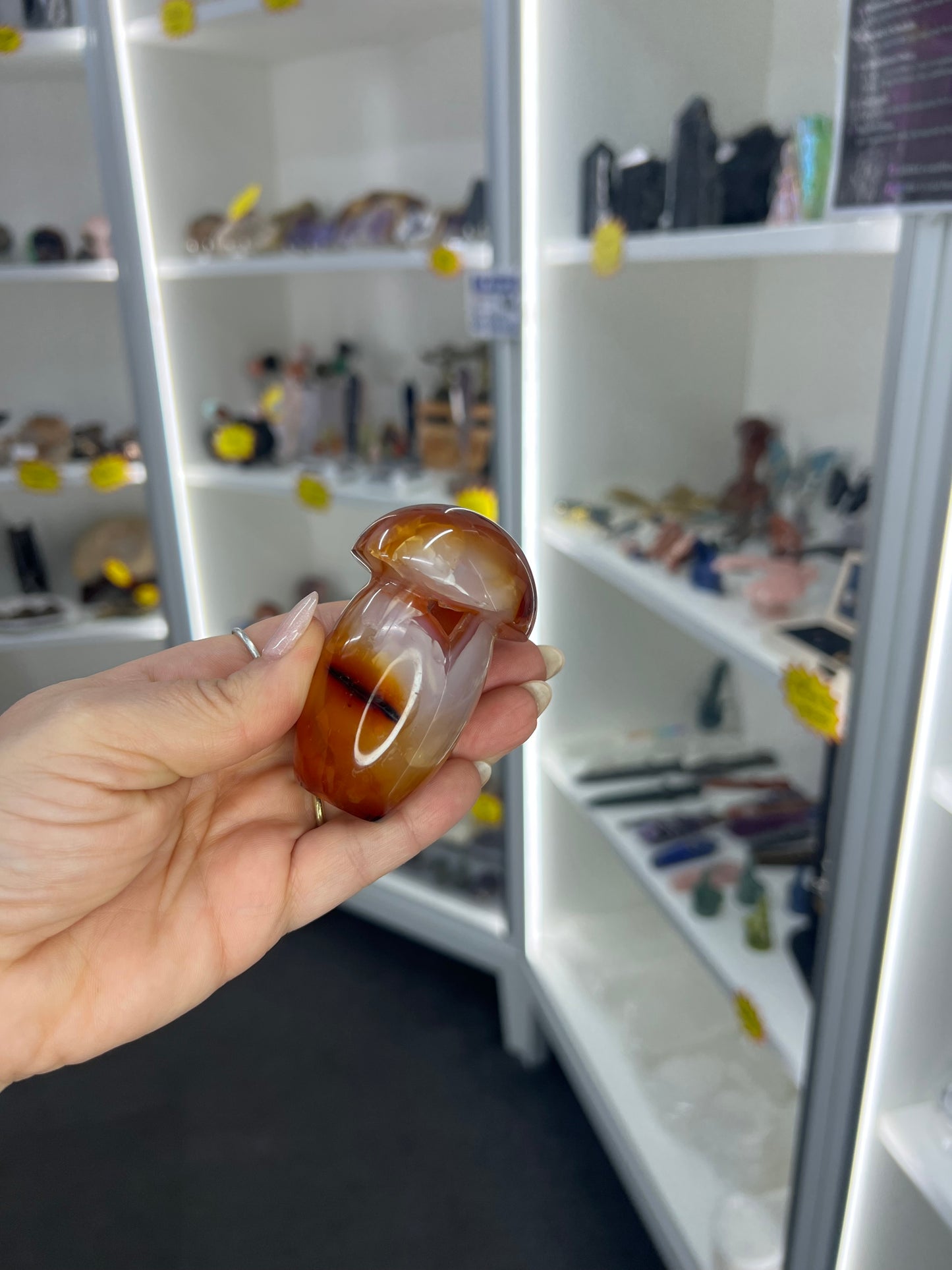 Carnelian Mushroom