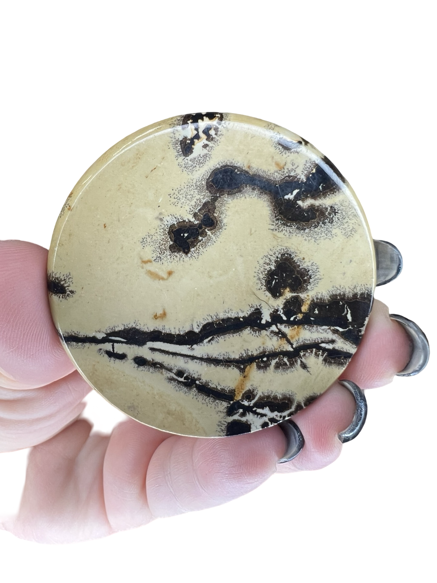 Picture Jasper Round Slab