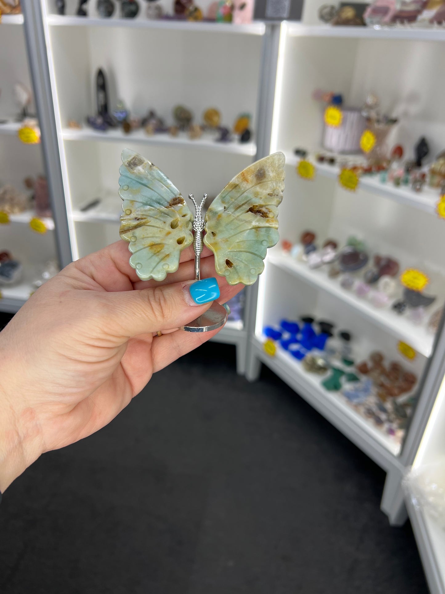 Caribbean Calcite Butterfly