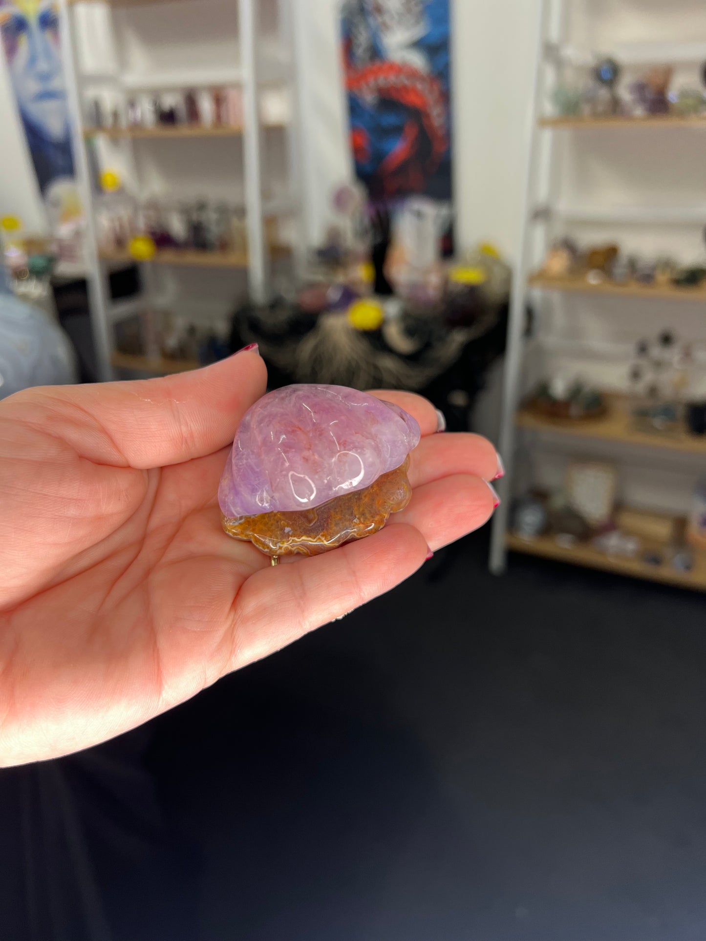 Amethyst x Mexican Lace Agate Shell