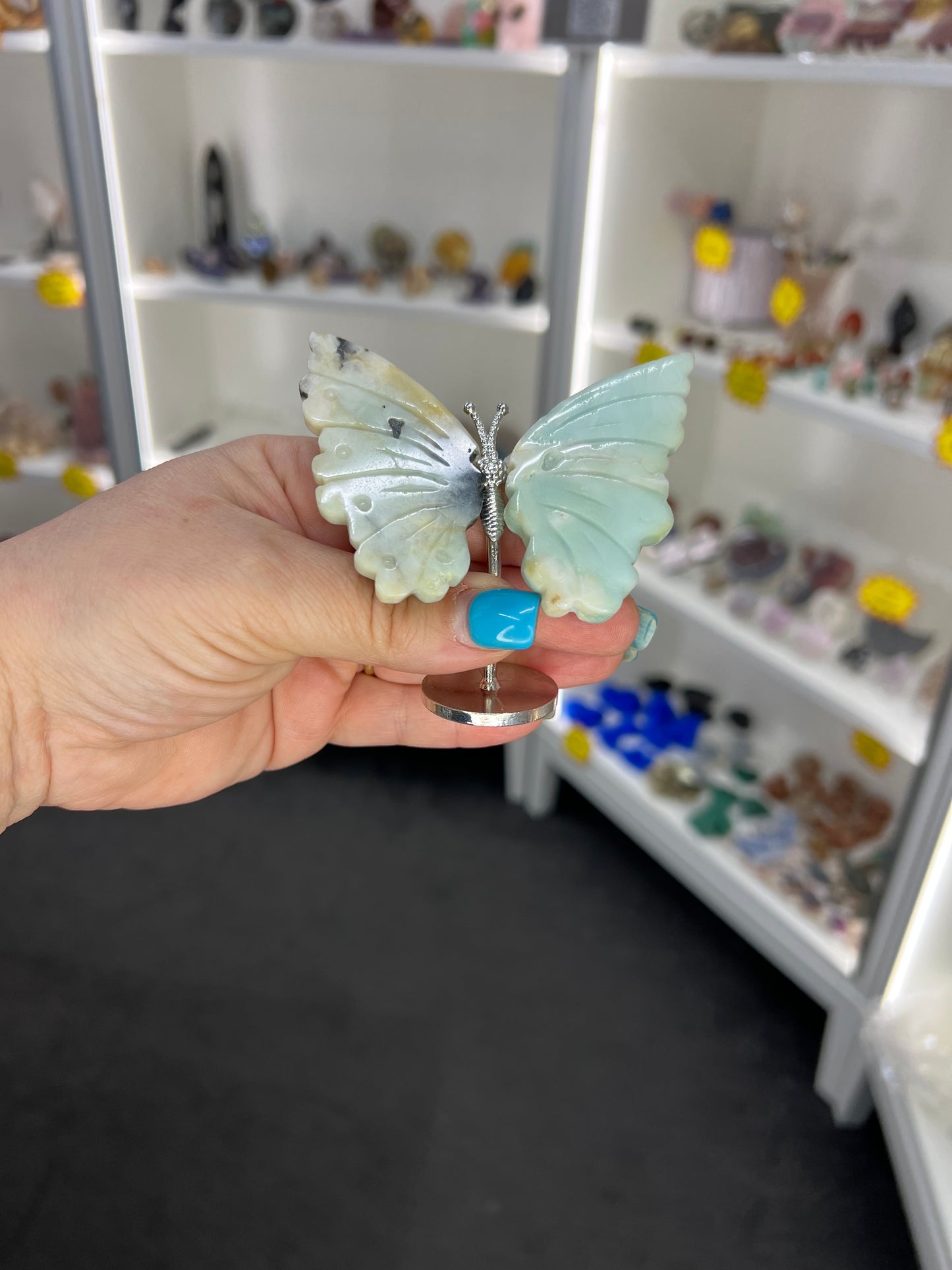 Caribbean Calcite Butterfly