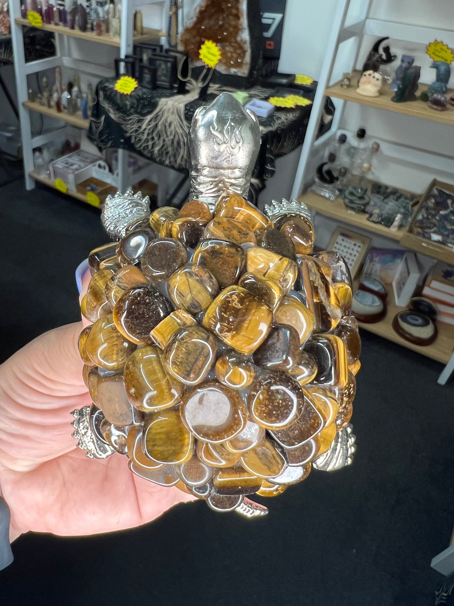 Tiger Eye Turtle