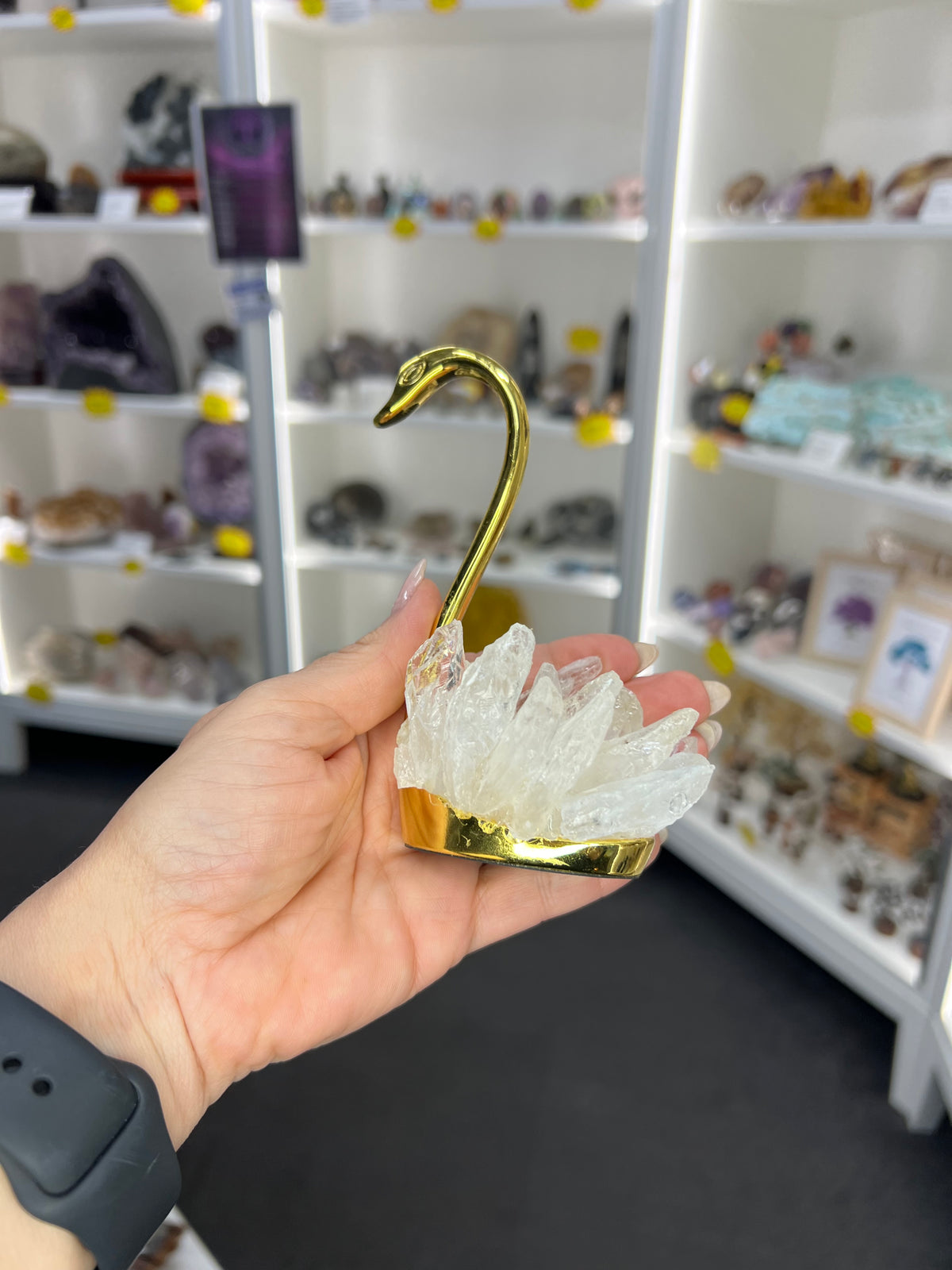 Clear Quartz Cluster on Gold Swan