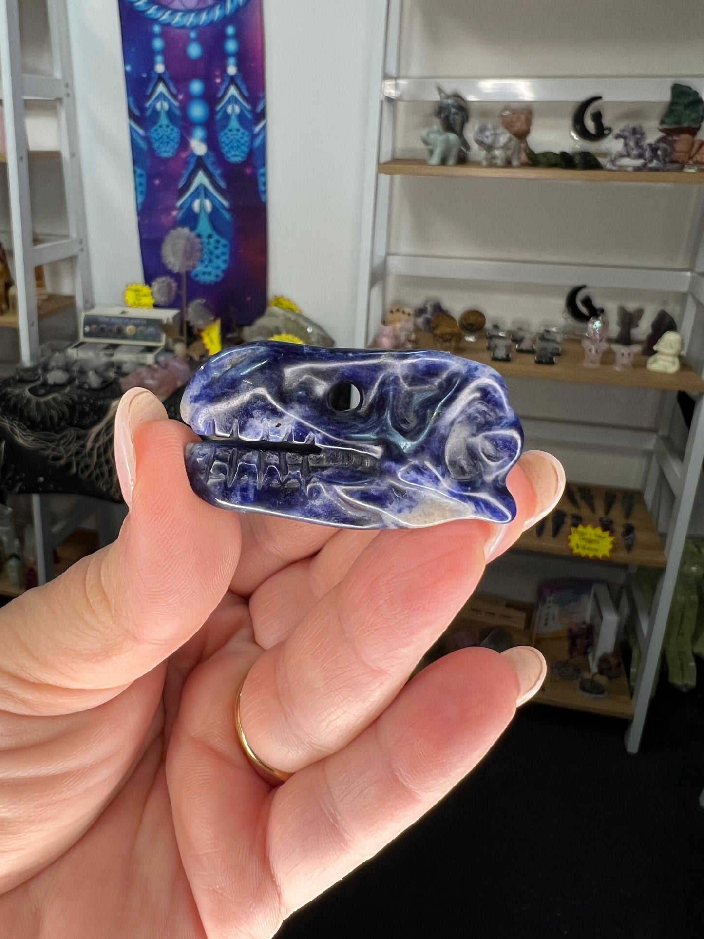 Sodalite Dinosaur Skull