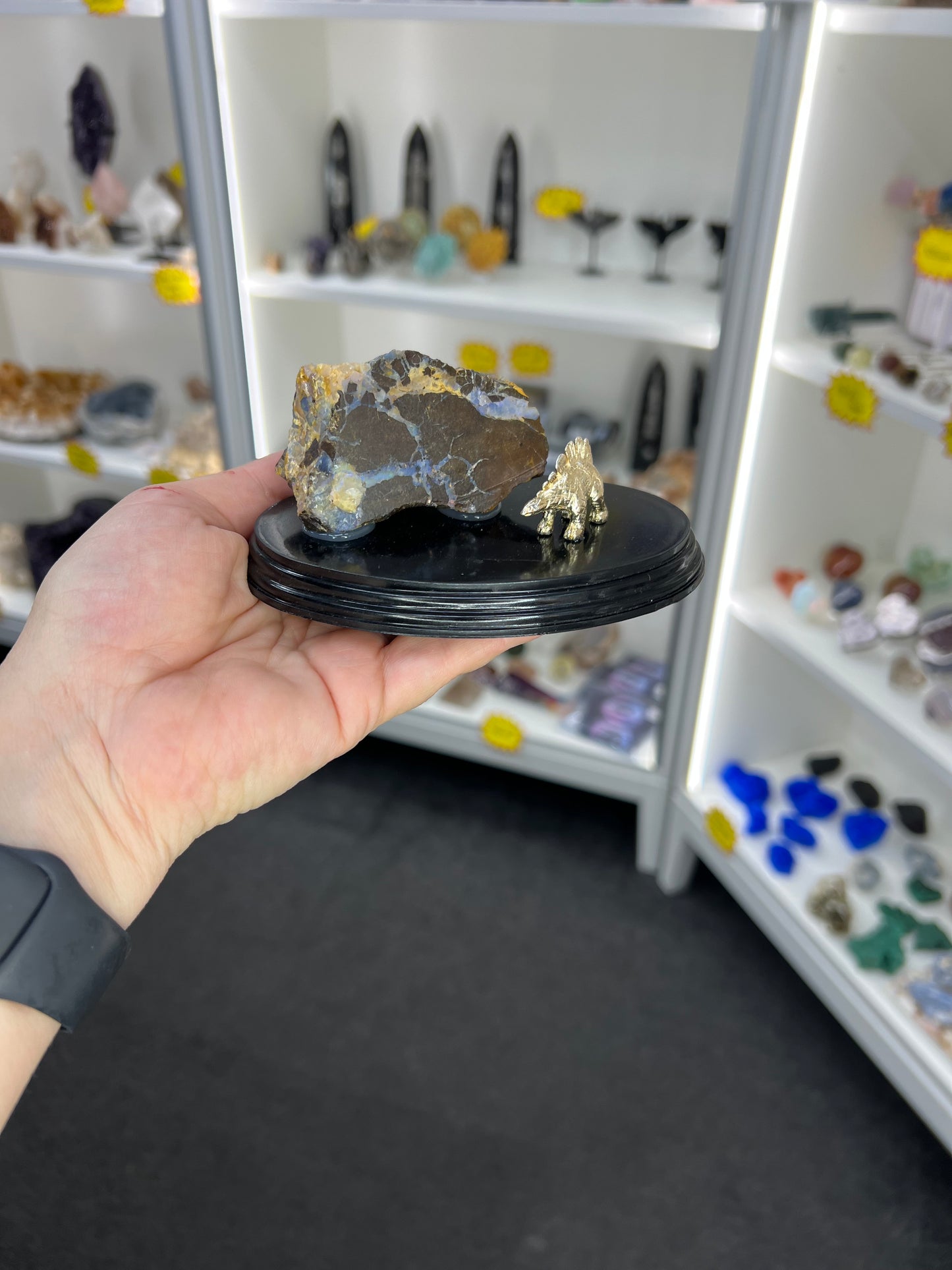 Boulder Opal with Dinosaur