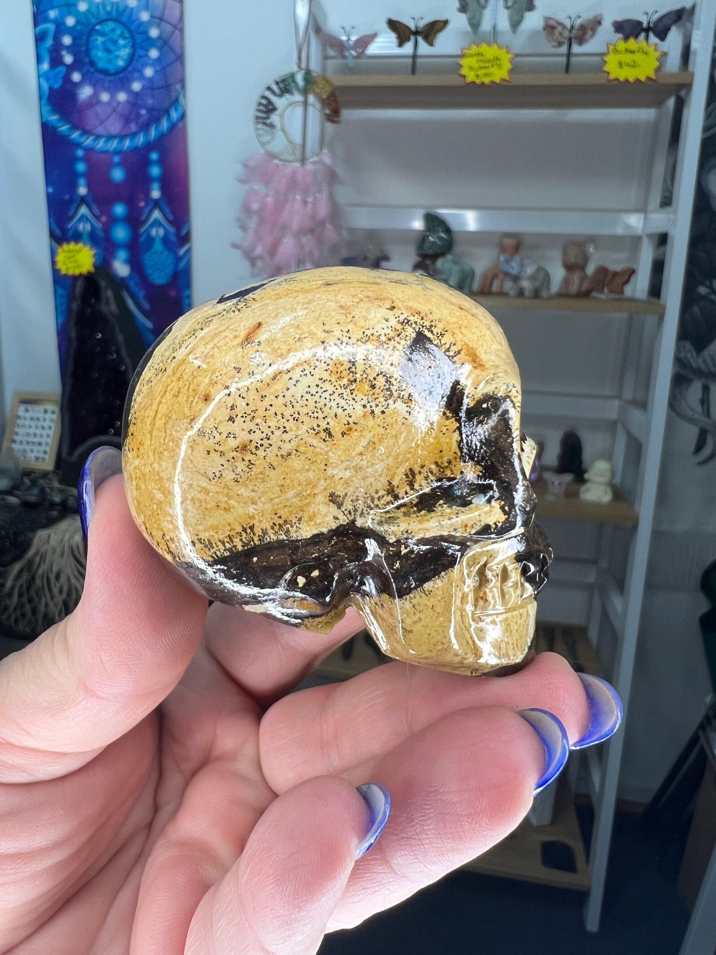 Picture Stone Jasper Skull