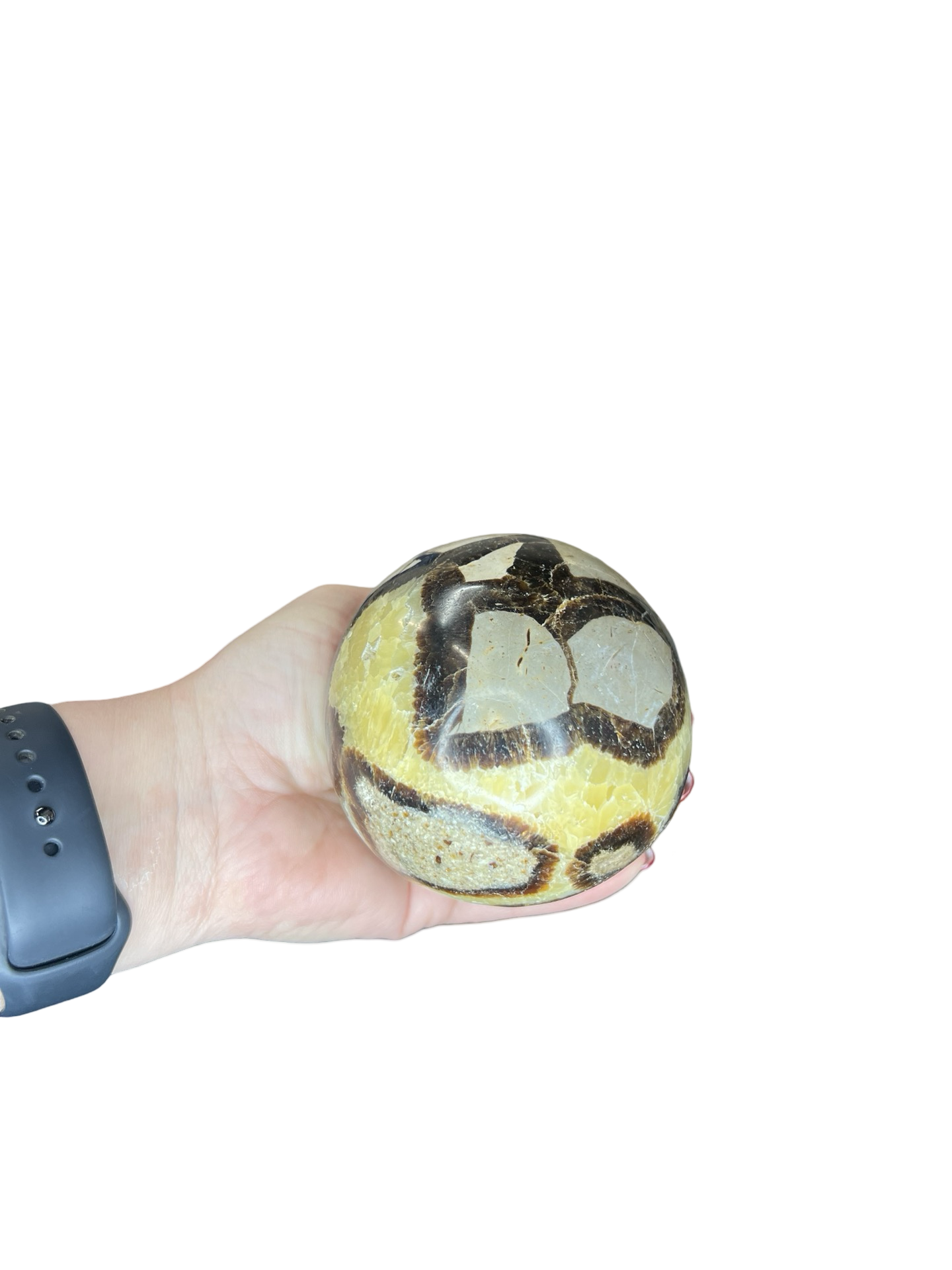 Septarian Sphere with Stand
