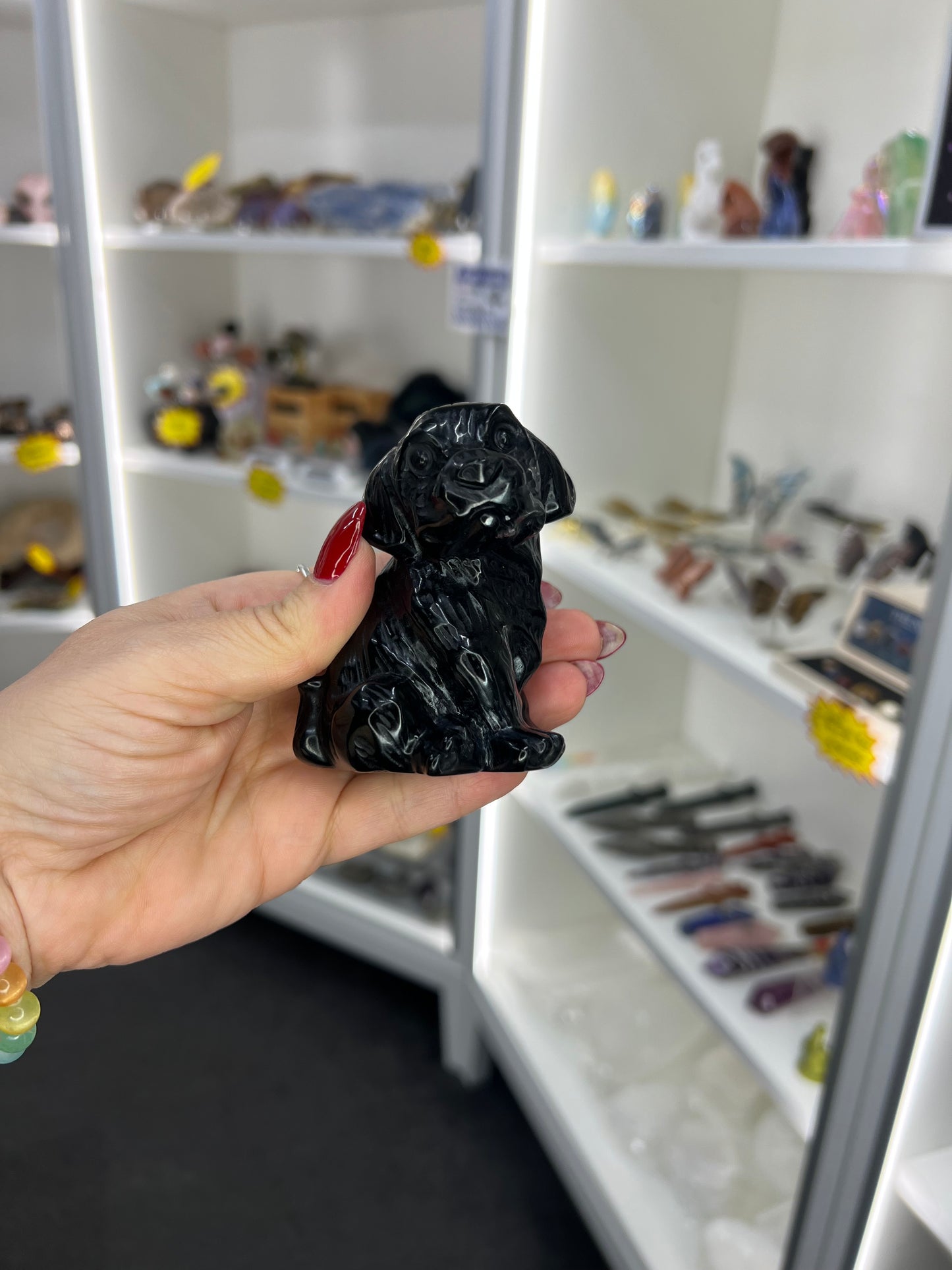 Black Obsidian Dog