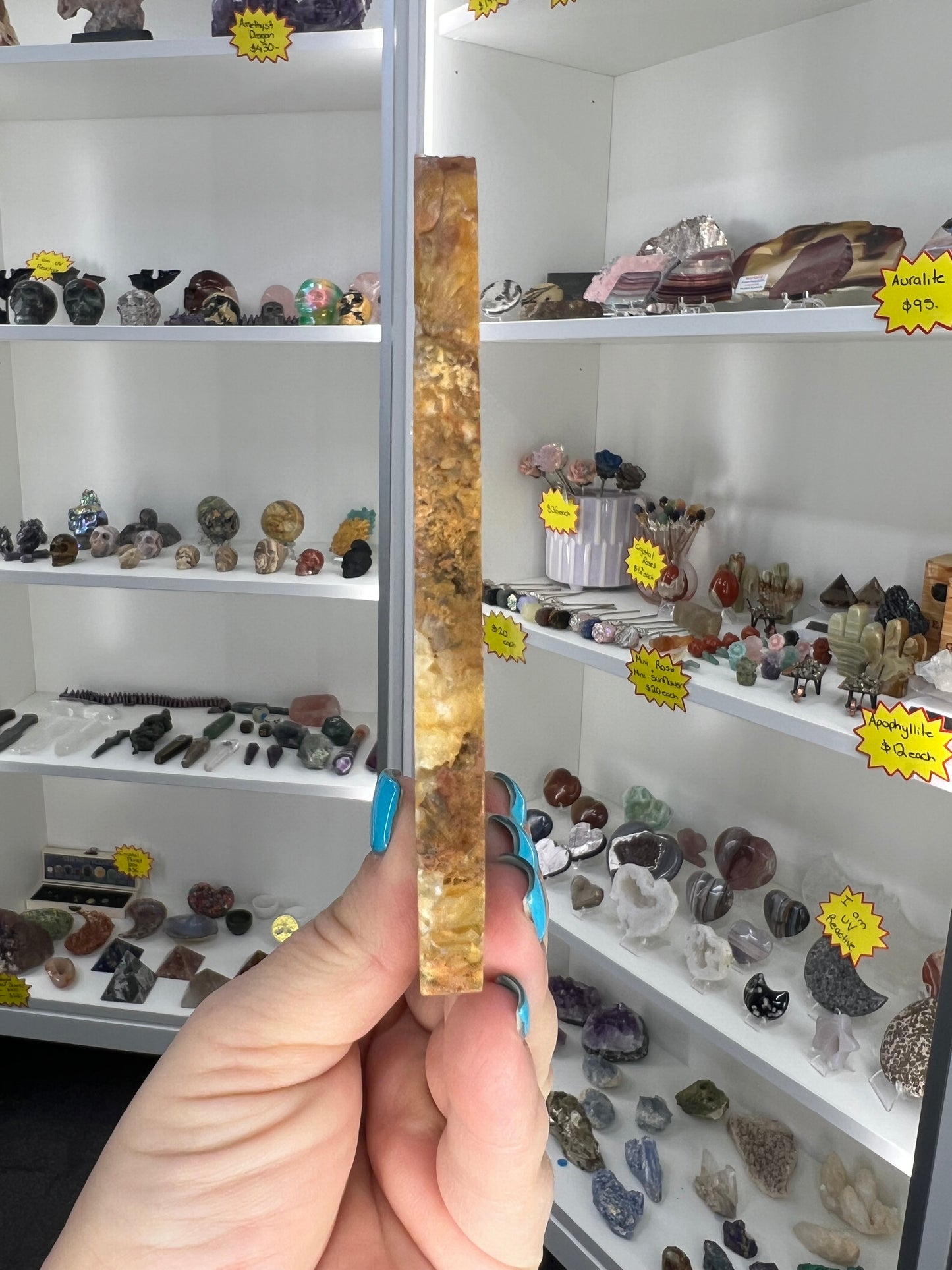 Dinosaur Poo / Coprolite