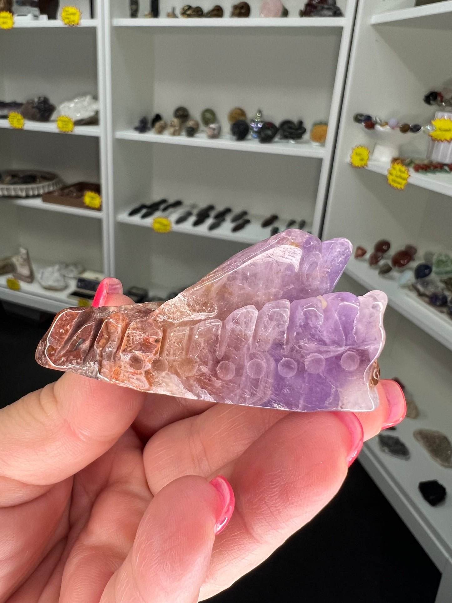 Amethyst / Crazy Lace Agate Dolphin