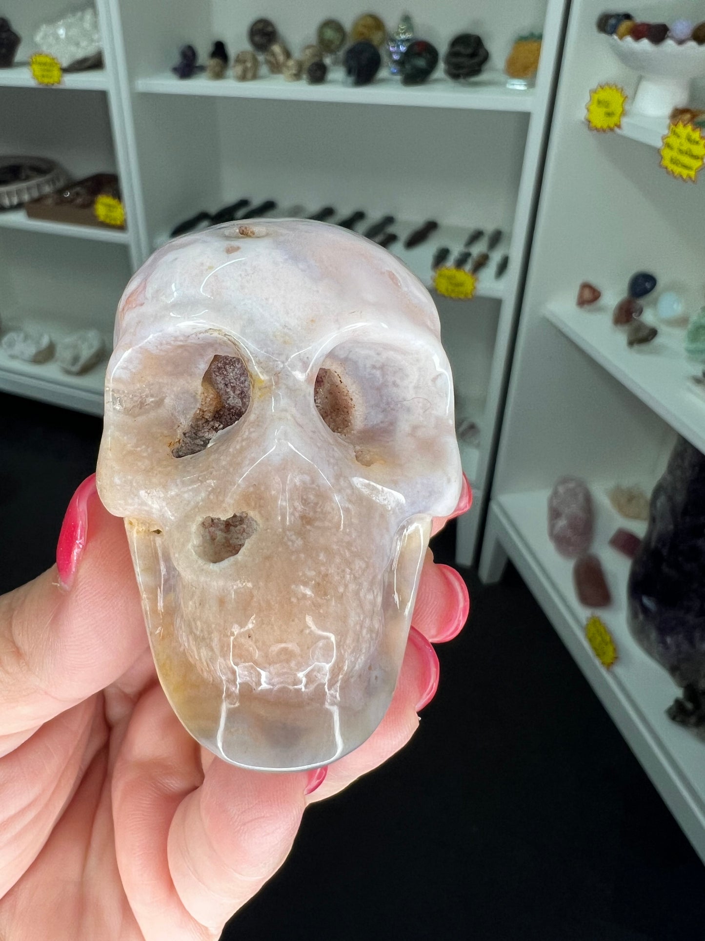 Flower Agate Skull