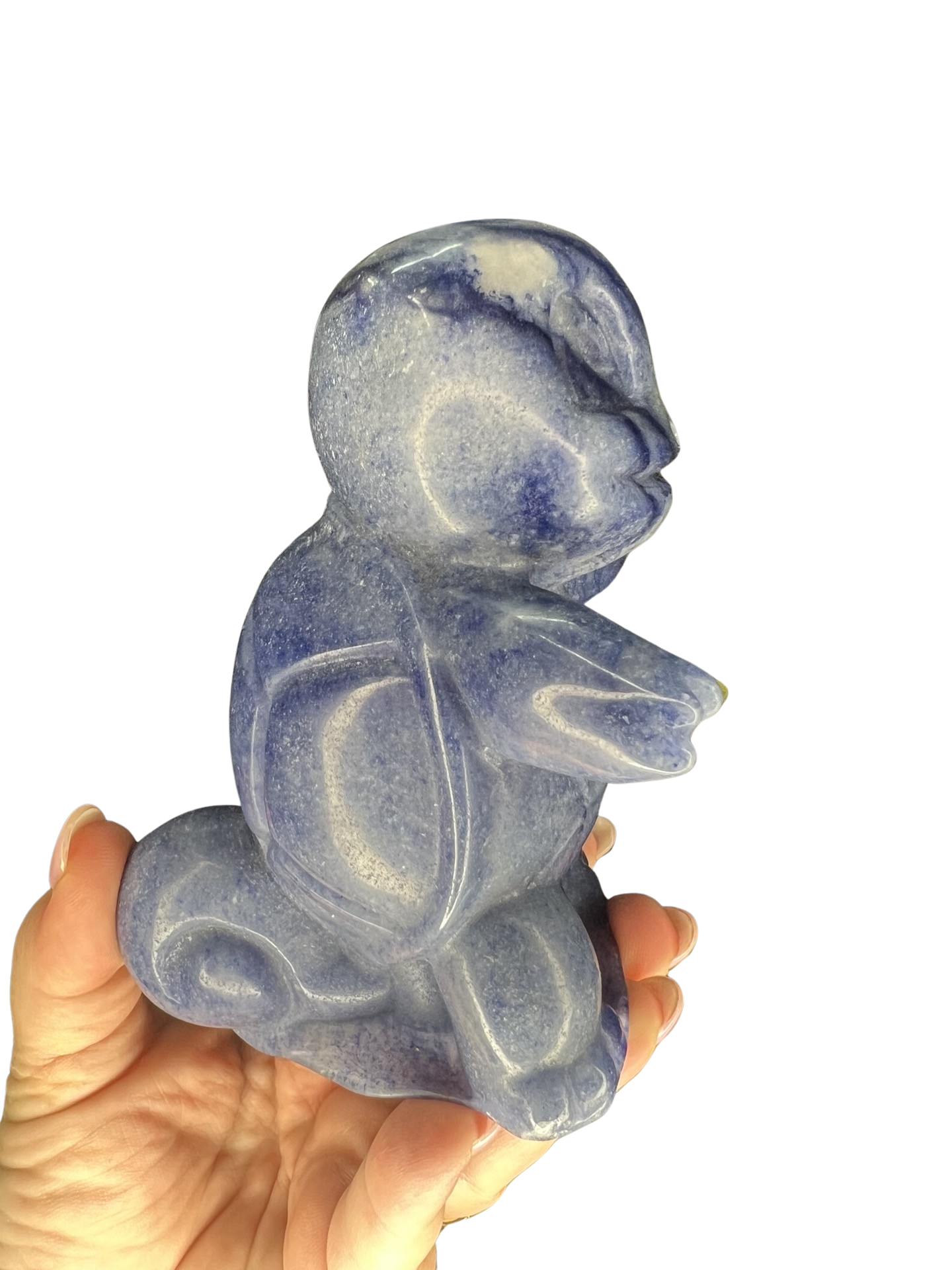Blue Aventurine Squirtle