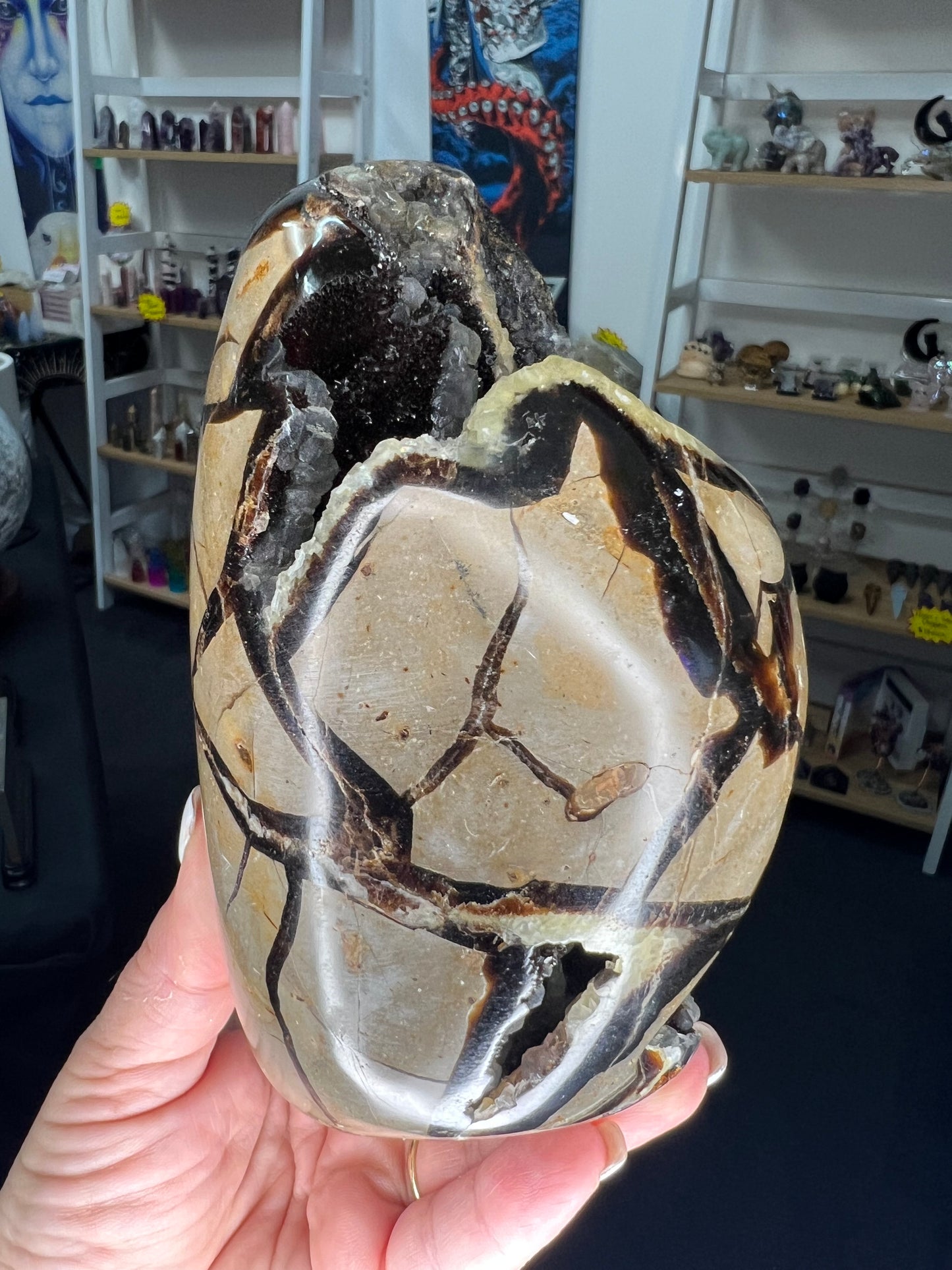Septarian Freeform