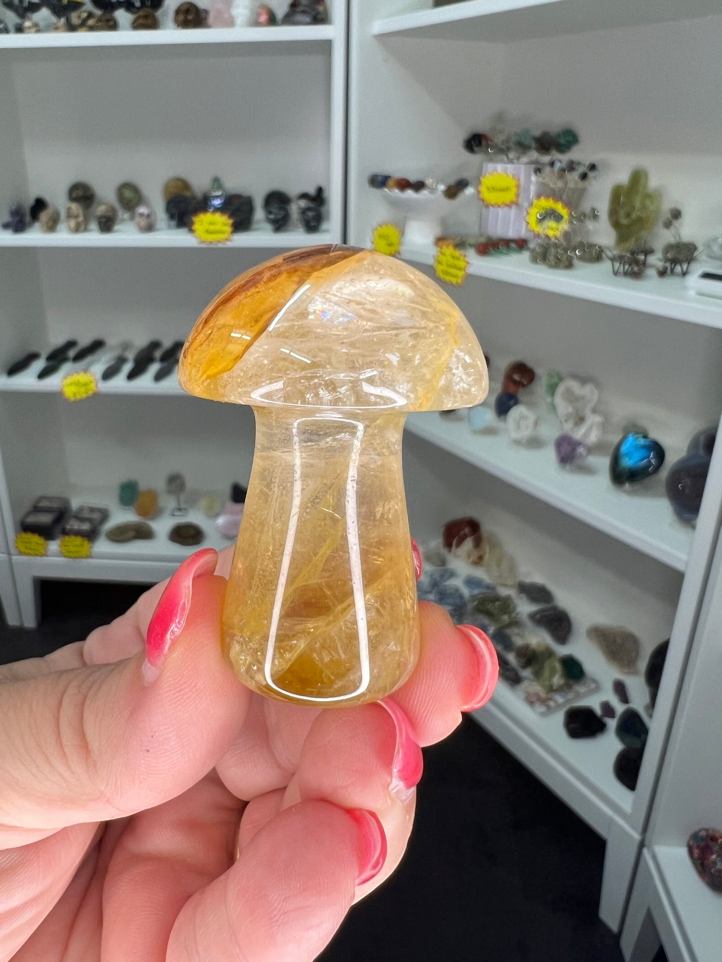 Golden Healer Mushroom