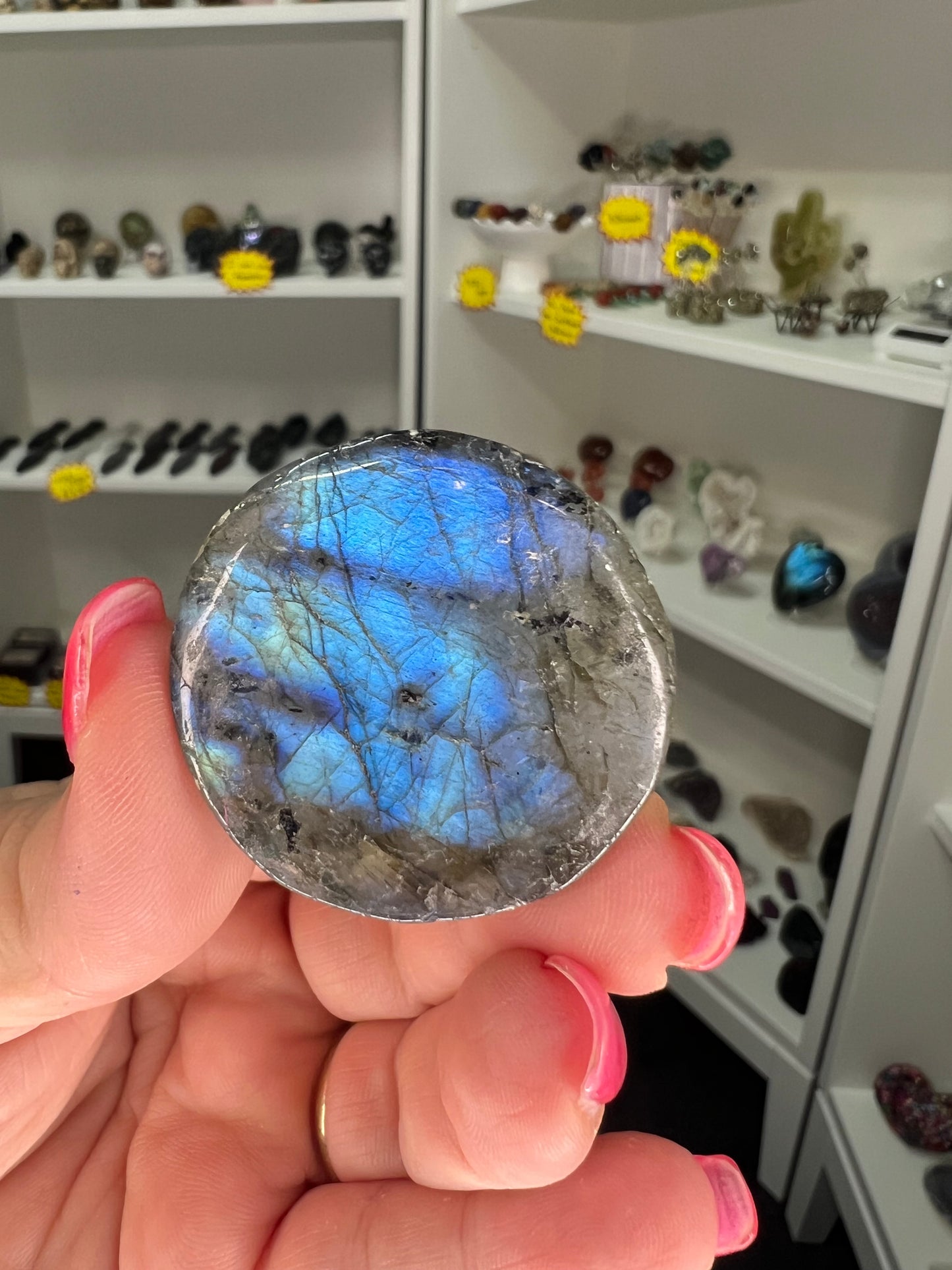Labradorite Lion Head Disk