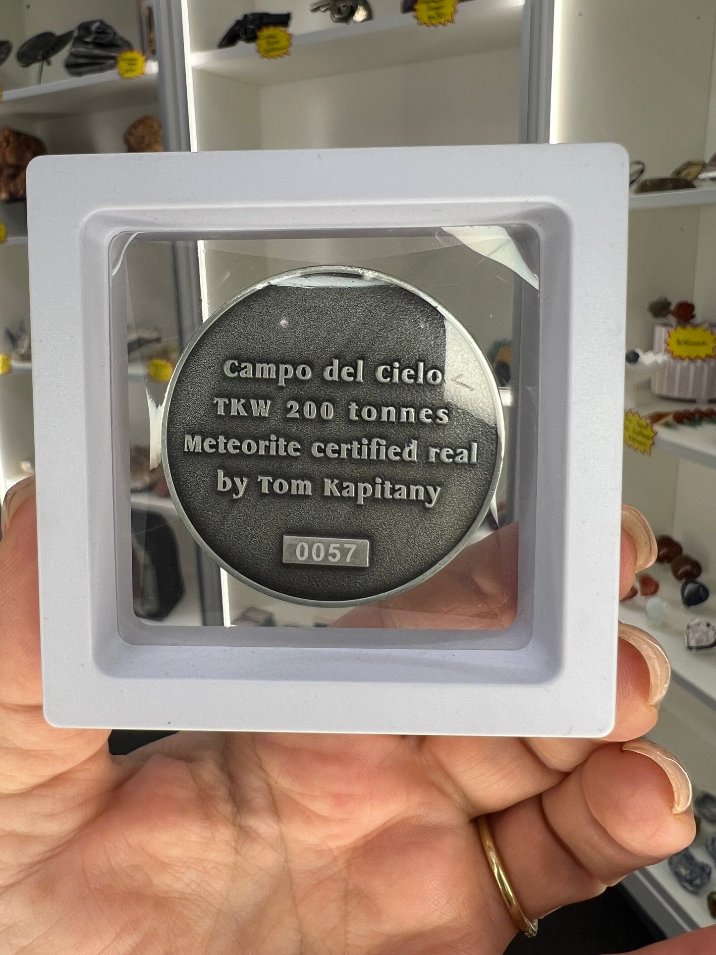 Campo Del Cielo Meteorite Coin