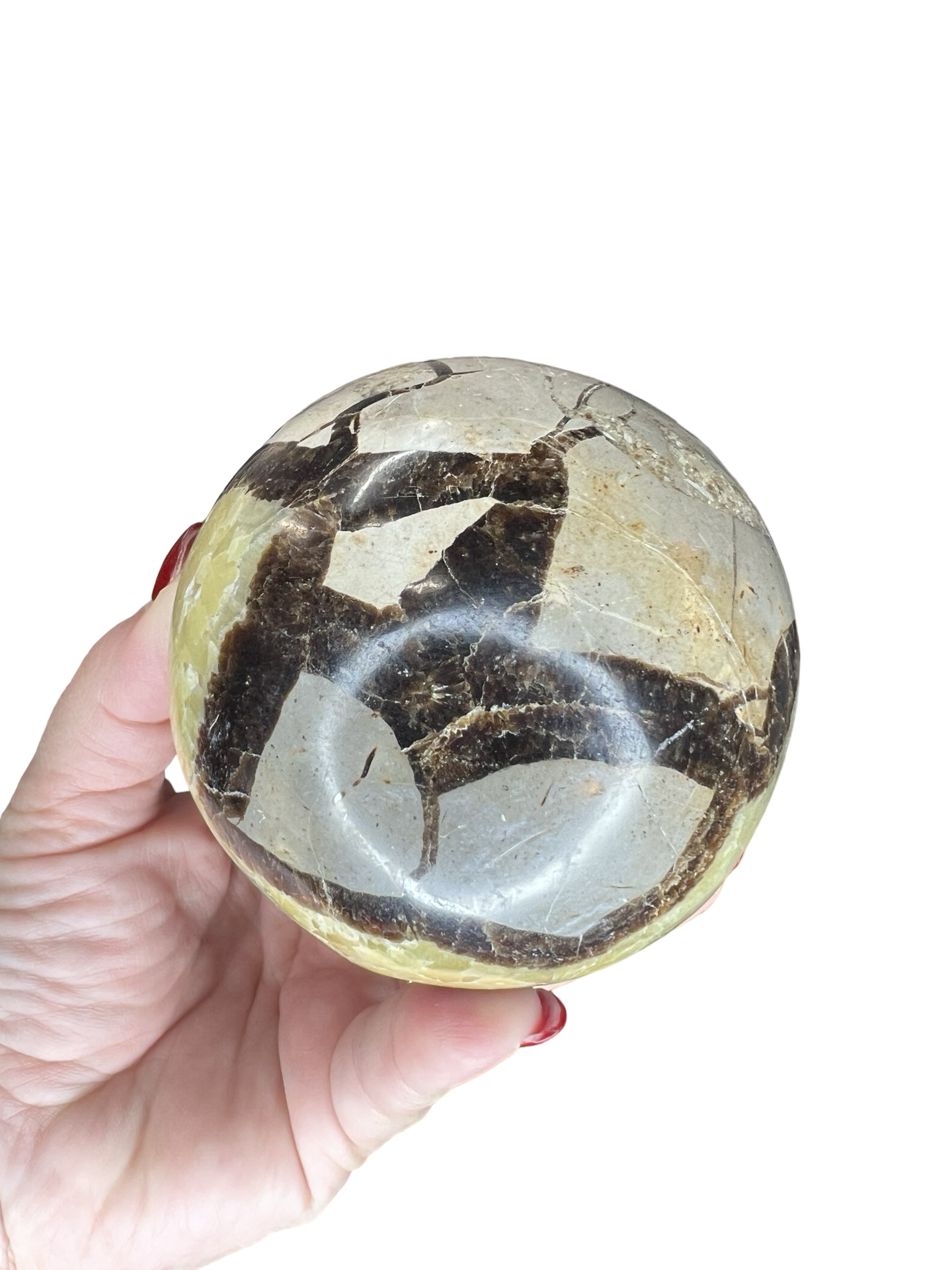 Septarian Sphere with Stand