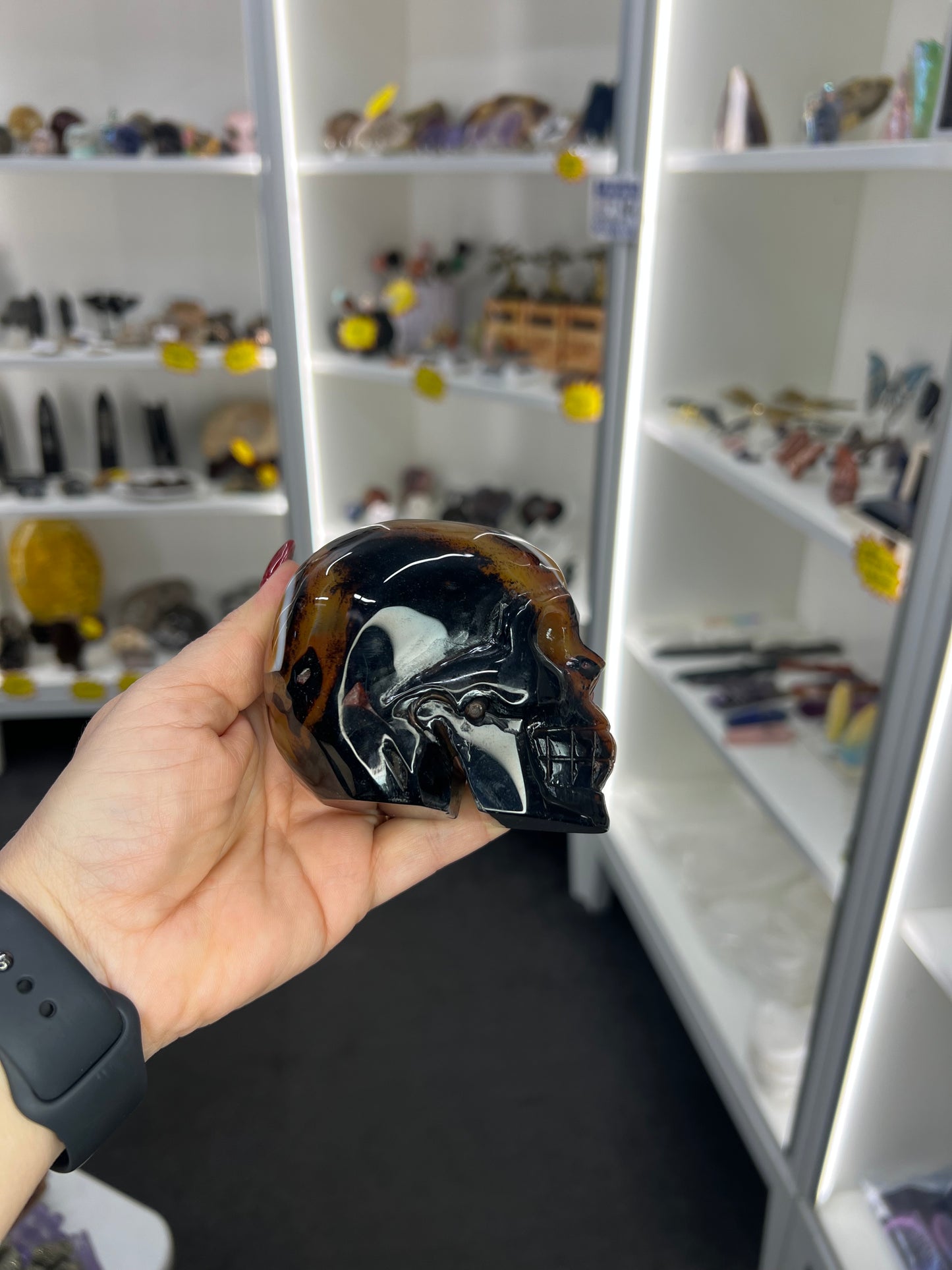 Sardonyx Skull