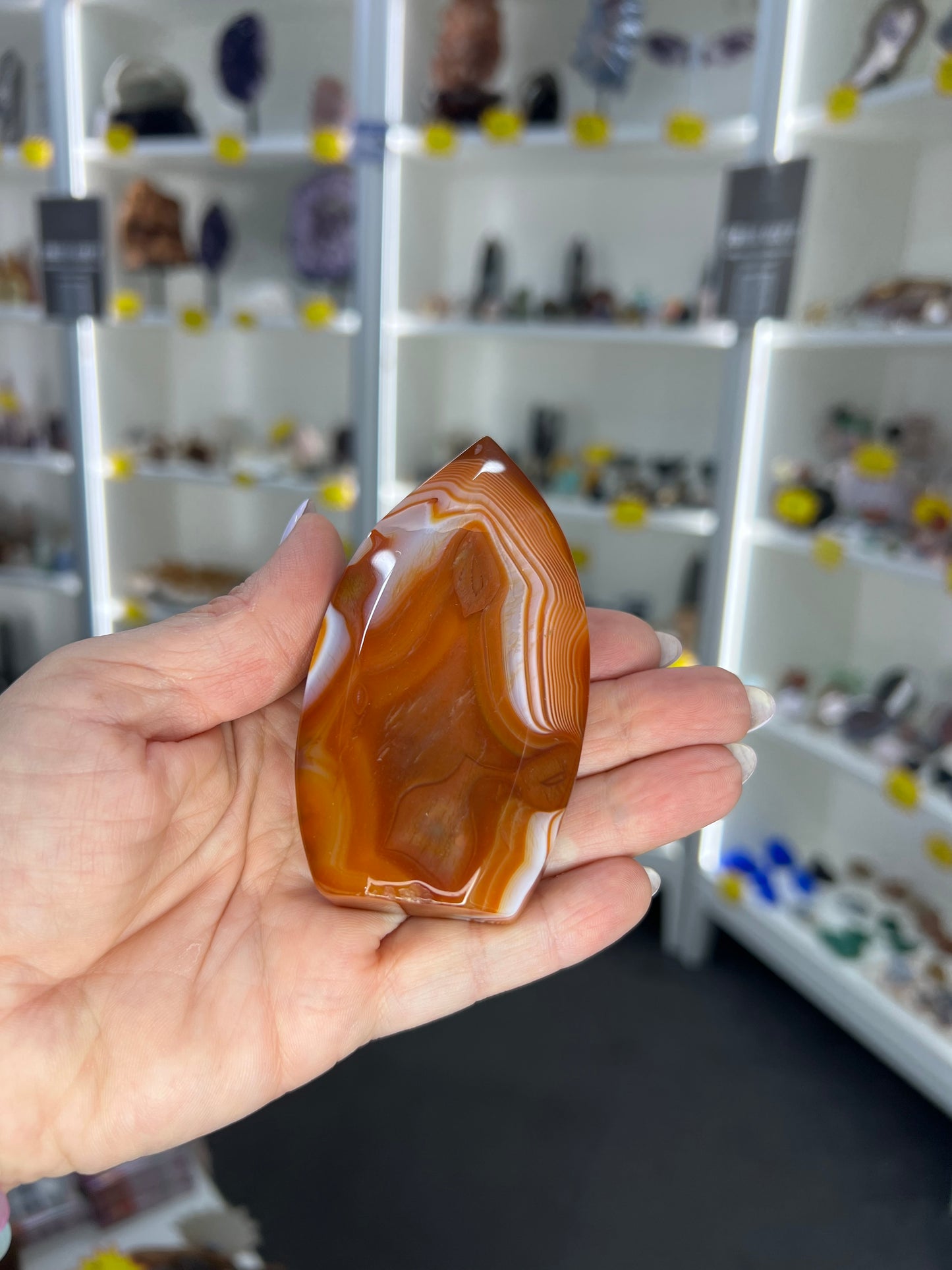 Carnelian Freeform