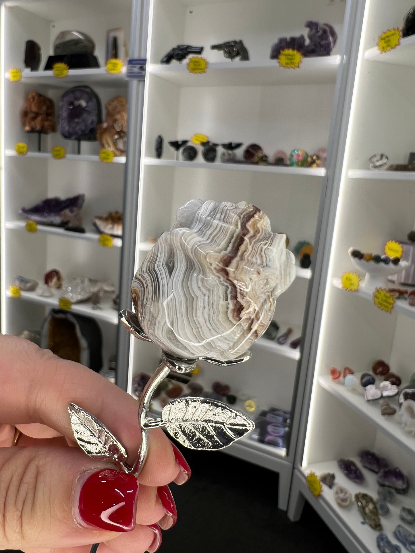 Mexican Lace Agate Forever Rose