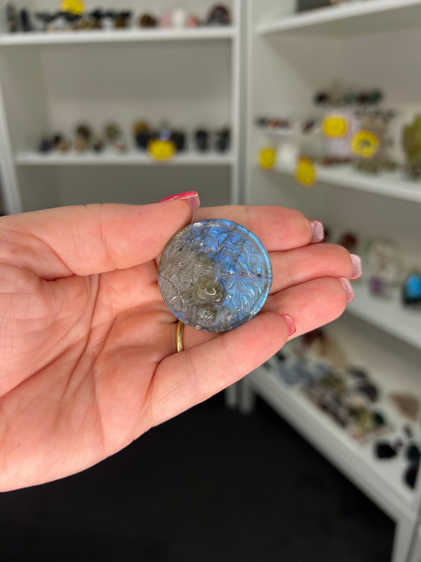 Labradorite Lion Head Disk