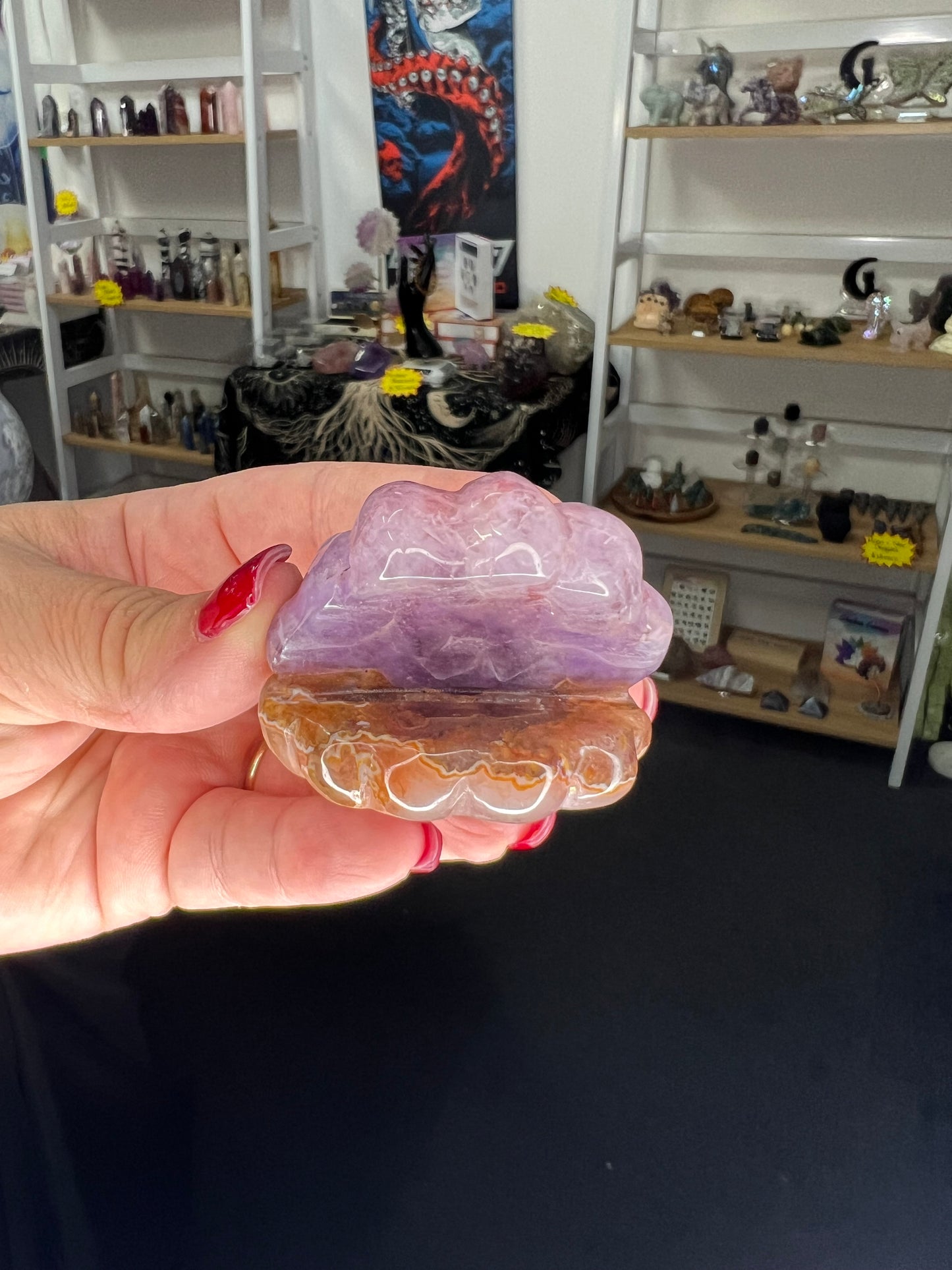 Amethyst x Mexican Lace Agate Shell