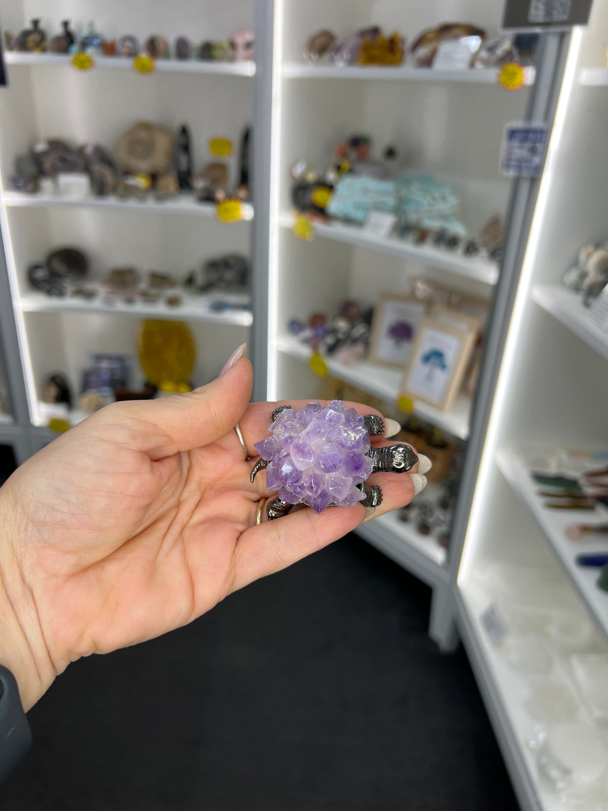 Amethyst Cluster on Grey Turtle