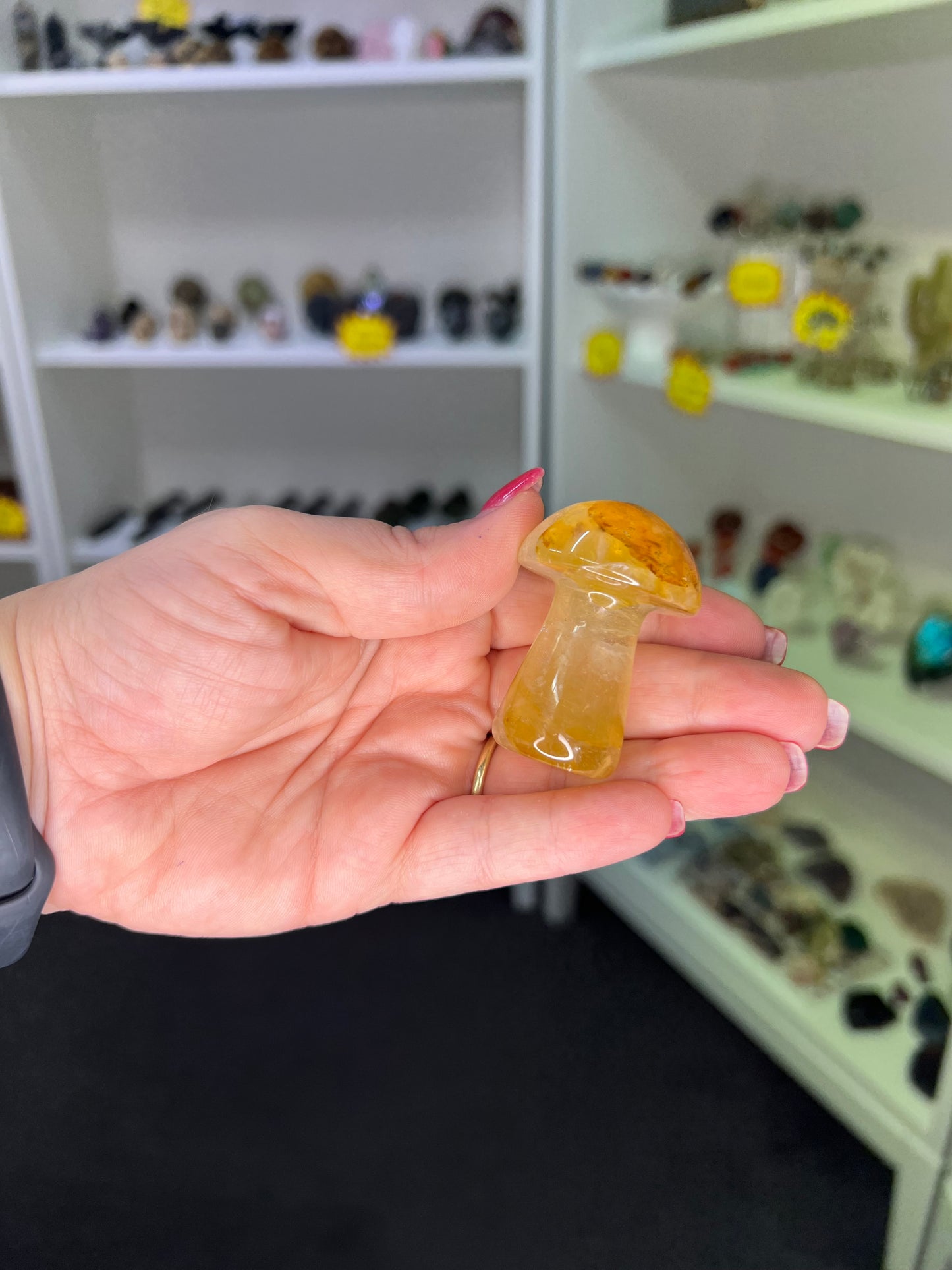 Golden Healer Mushroom
