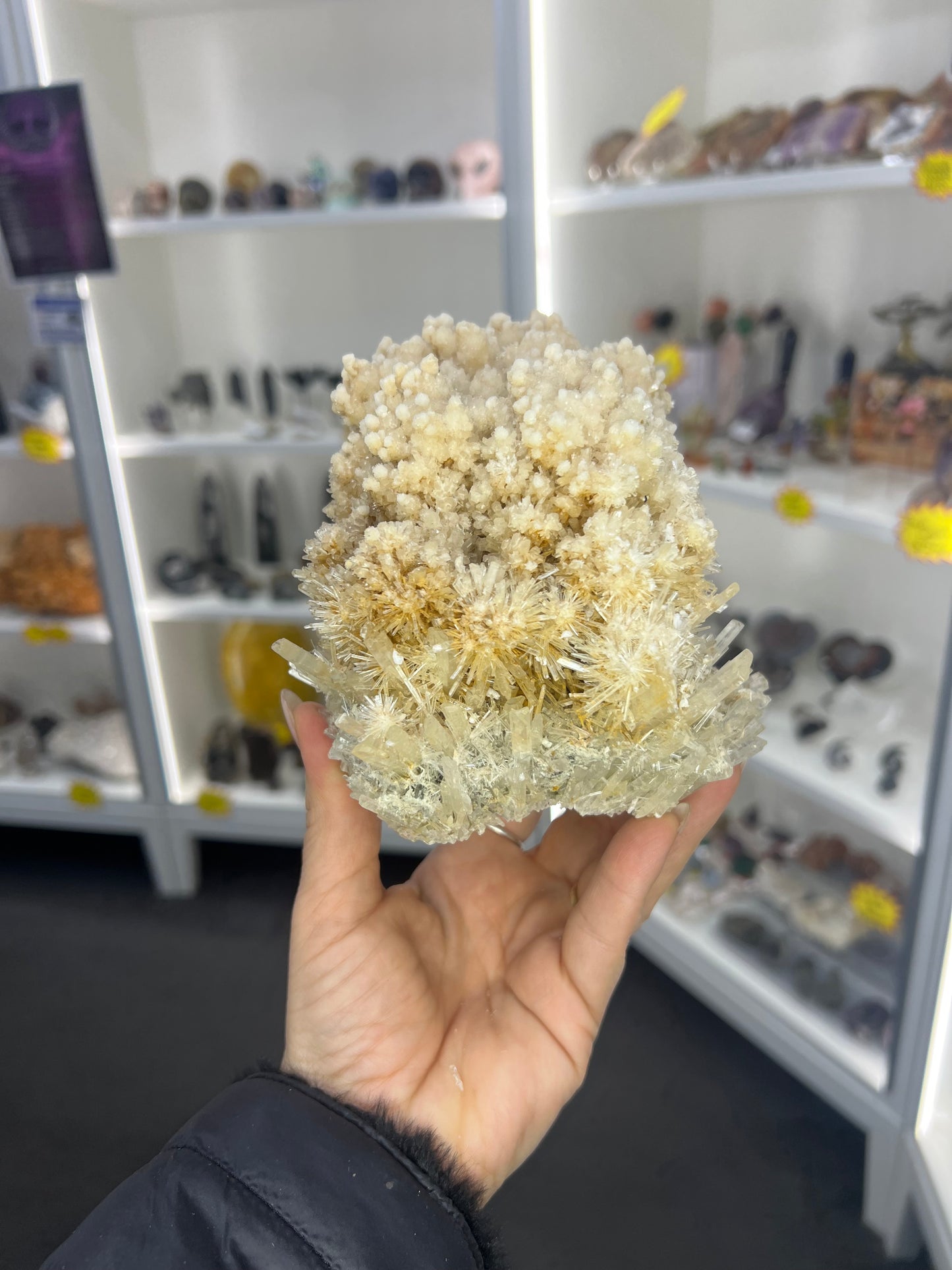 Gypsum Cluster Specimen