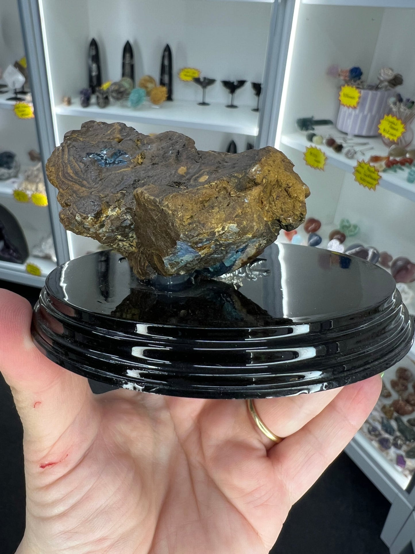 Boulder Opal with Dinosaur