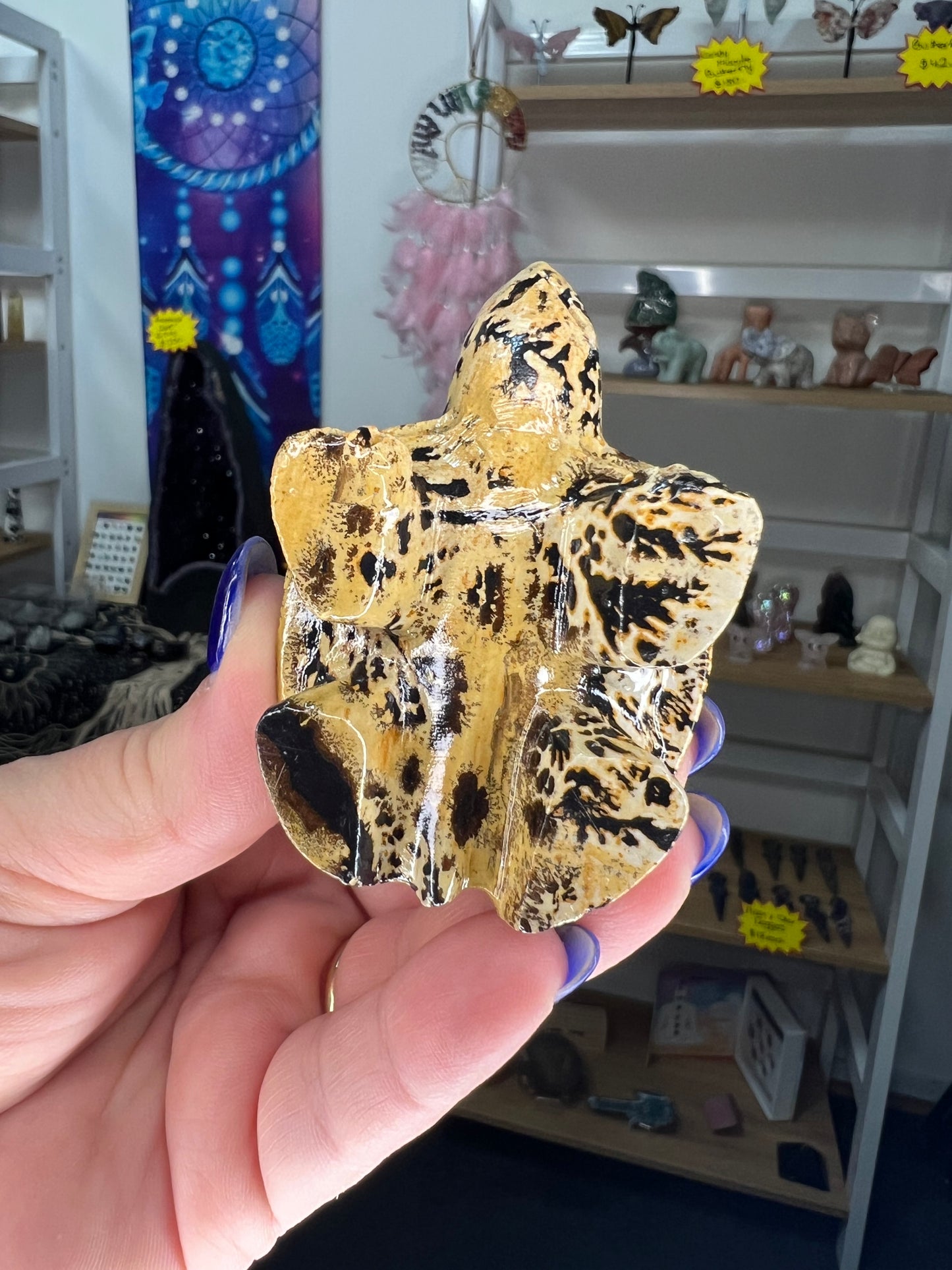 Picture Stone Jasper Turtle